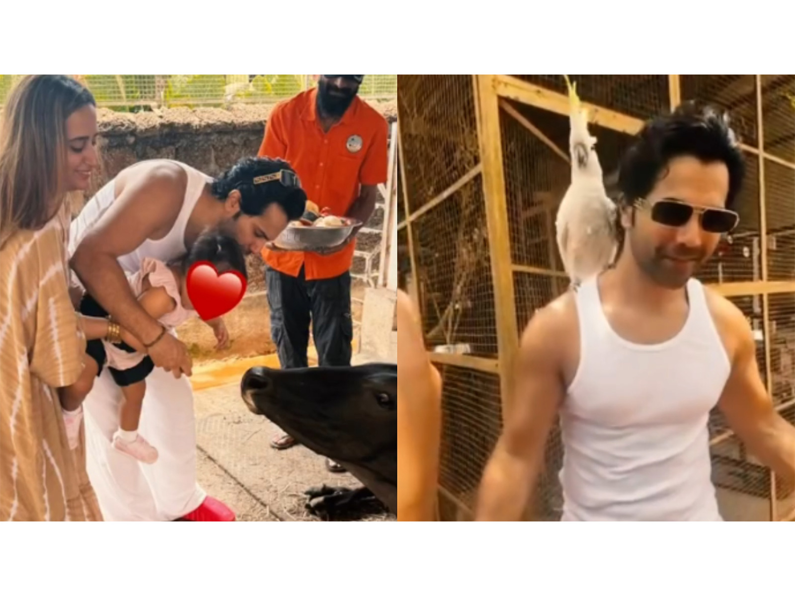 Varun Dhawan with family (Photo/Instagram@varundvn)