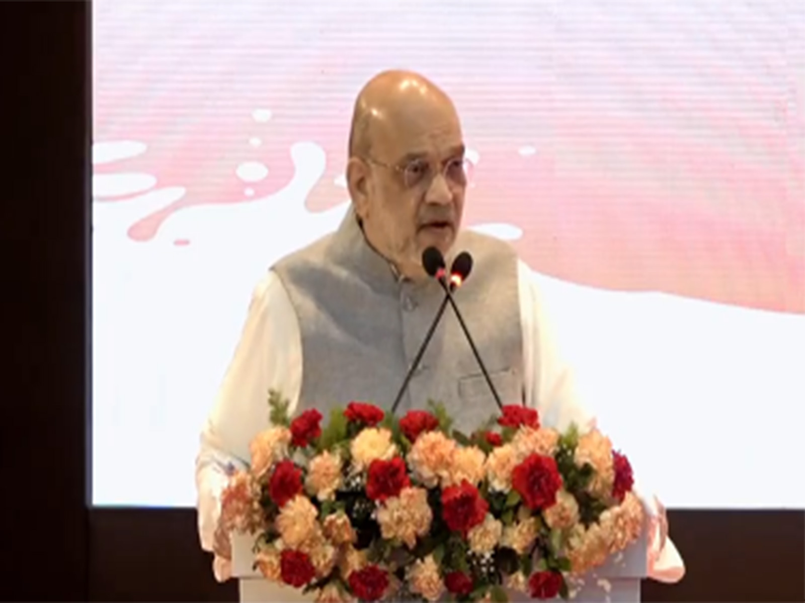 Union Home Minister Amit Shah (Photo/ANI)