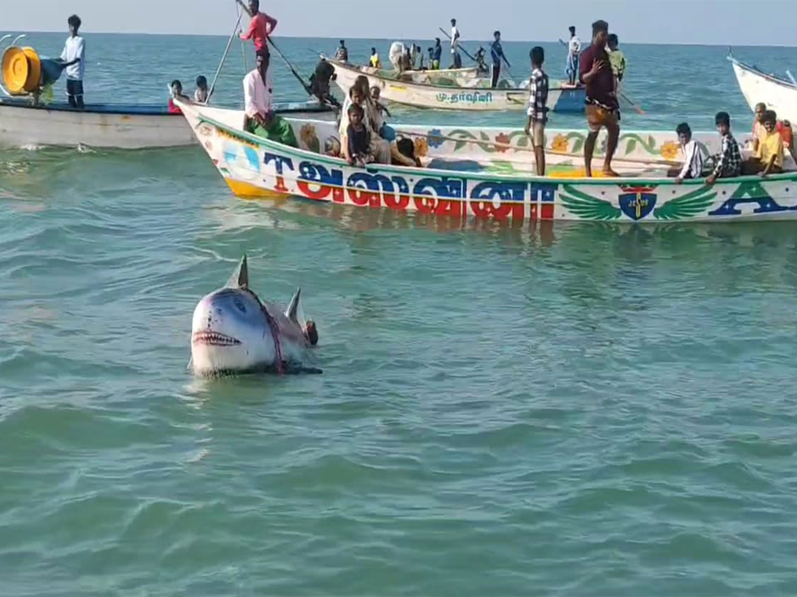 Lord Shiva's net-casting ritual draws devotees in Ramanathapuram (Photo/ANI)