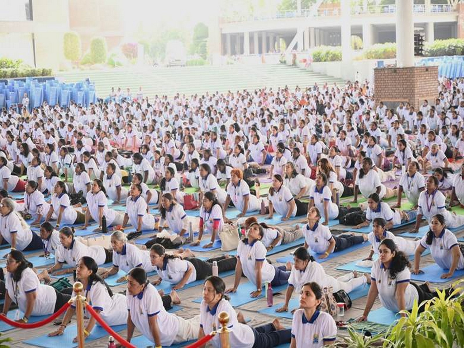 6,000+ perform Bhujangasana during Yoga Mahotsav (Photo/PIB)