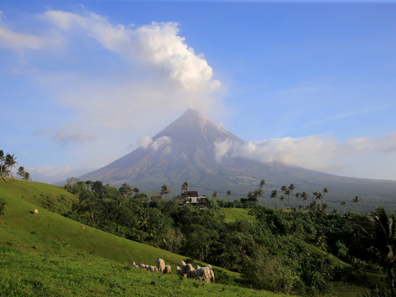 Volcanic ash spews out of a crater of Mount Mayon volcano (File Photo/ Reuters)