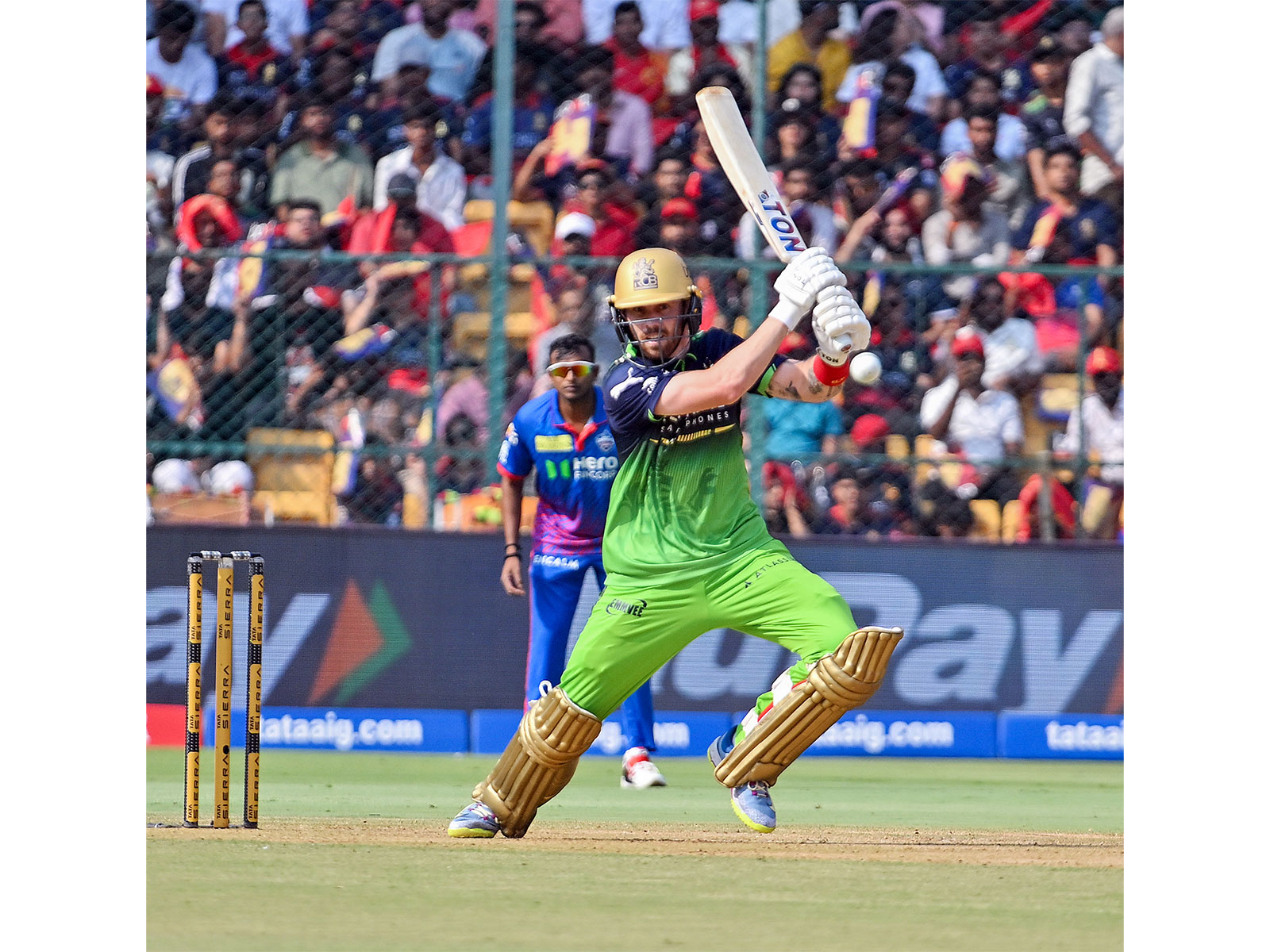 RCB opener Phil Salt batting (Photo: ANI)