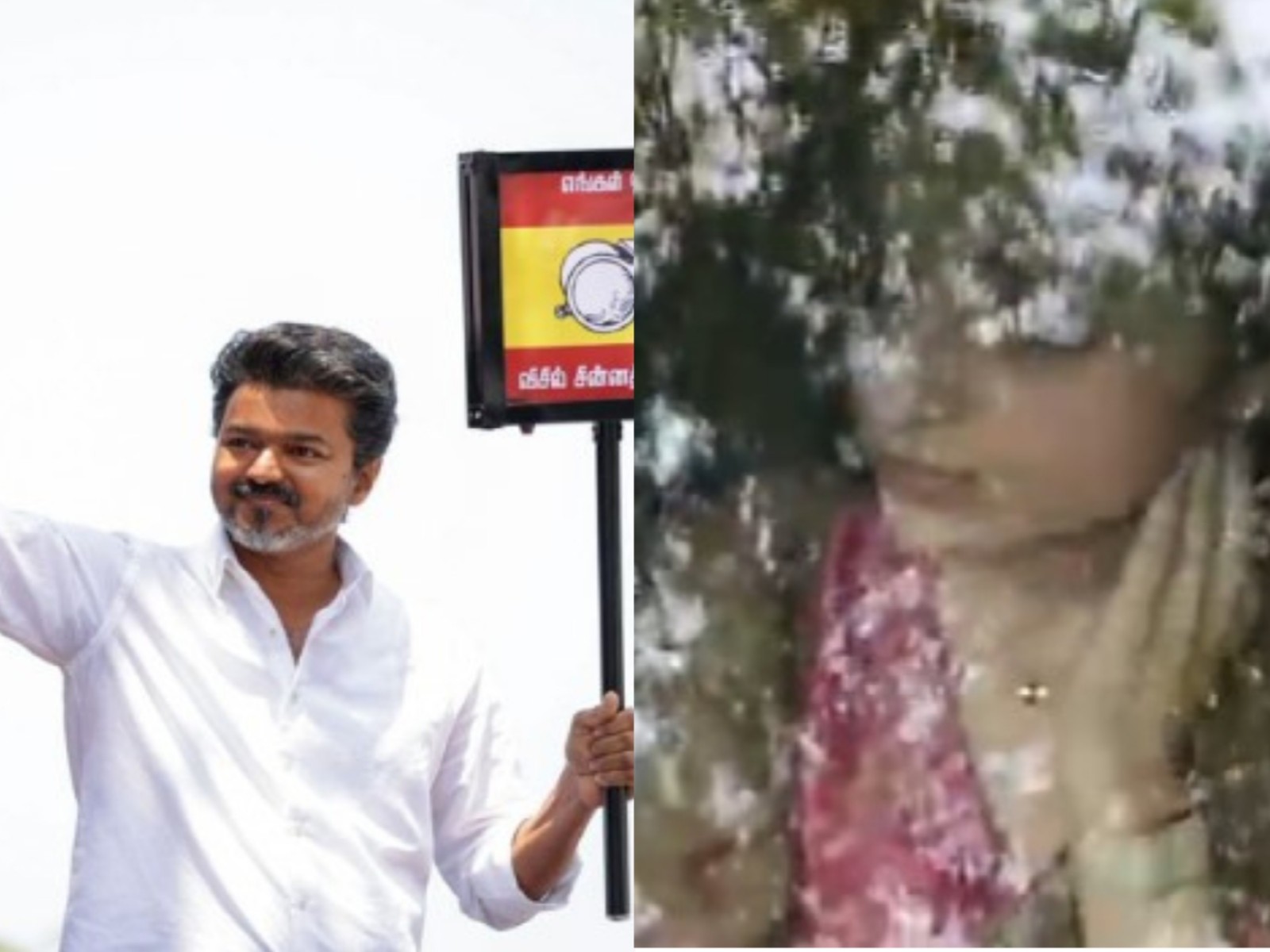 Vijay, Trisha Krishnan (Photo/ANI)