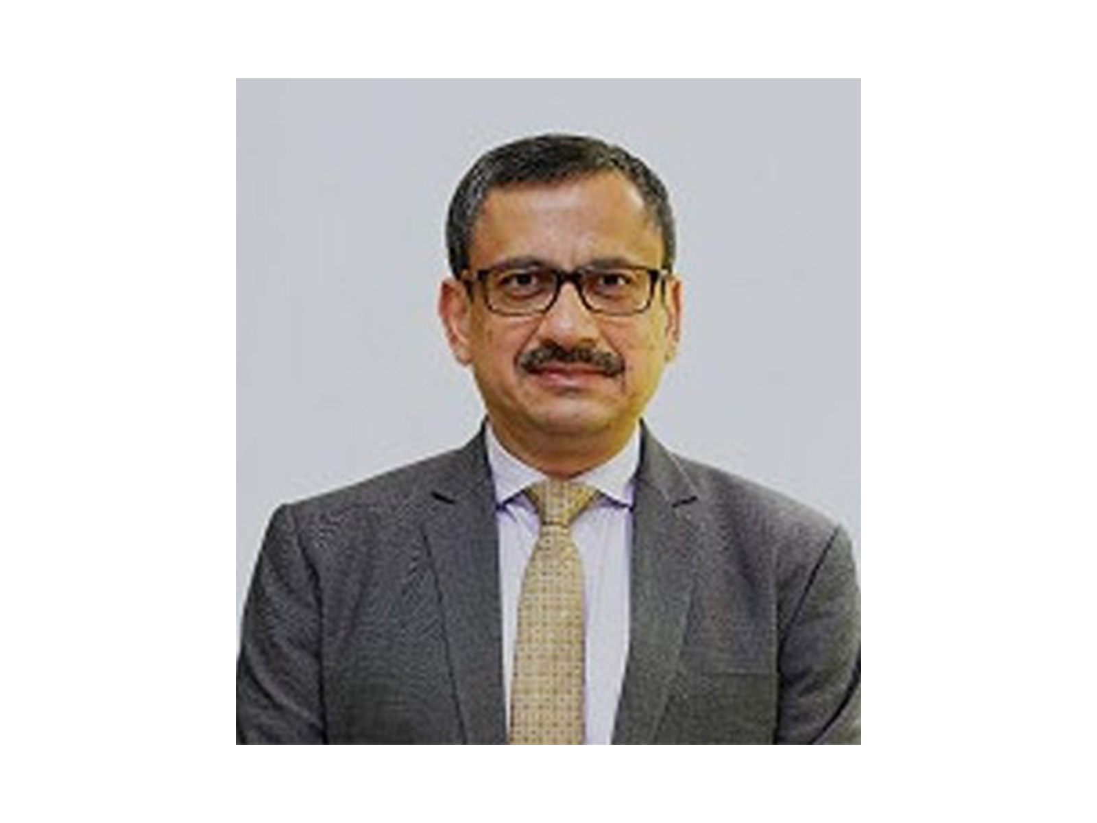 Rohit Jain, RBI Dy Governor (Photo/RBI) 