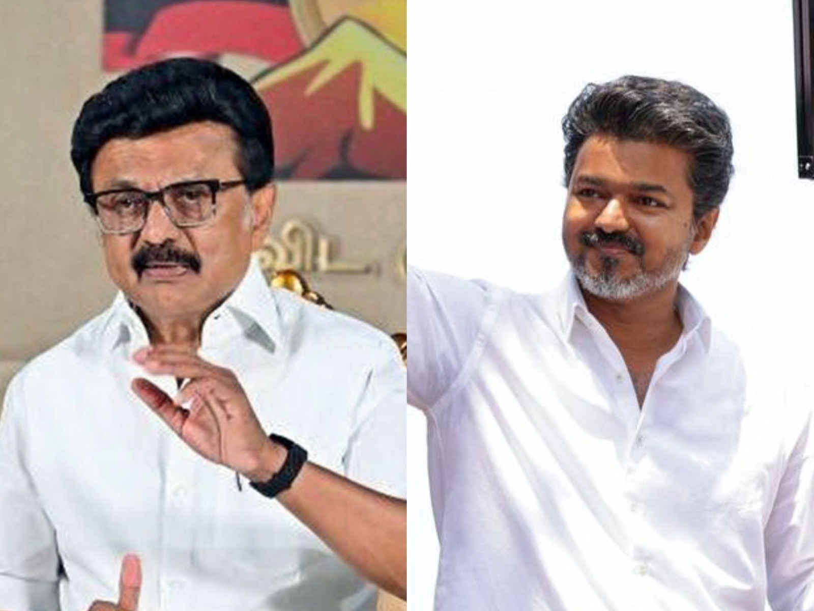 DMK chief MK Stalin and TVK chief Vijay (Photo/ANI)
