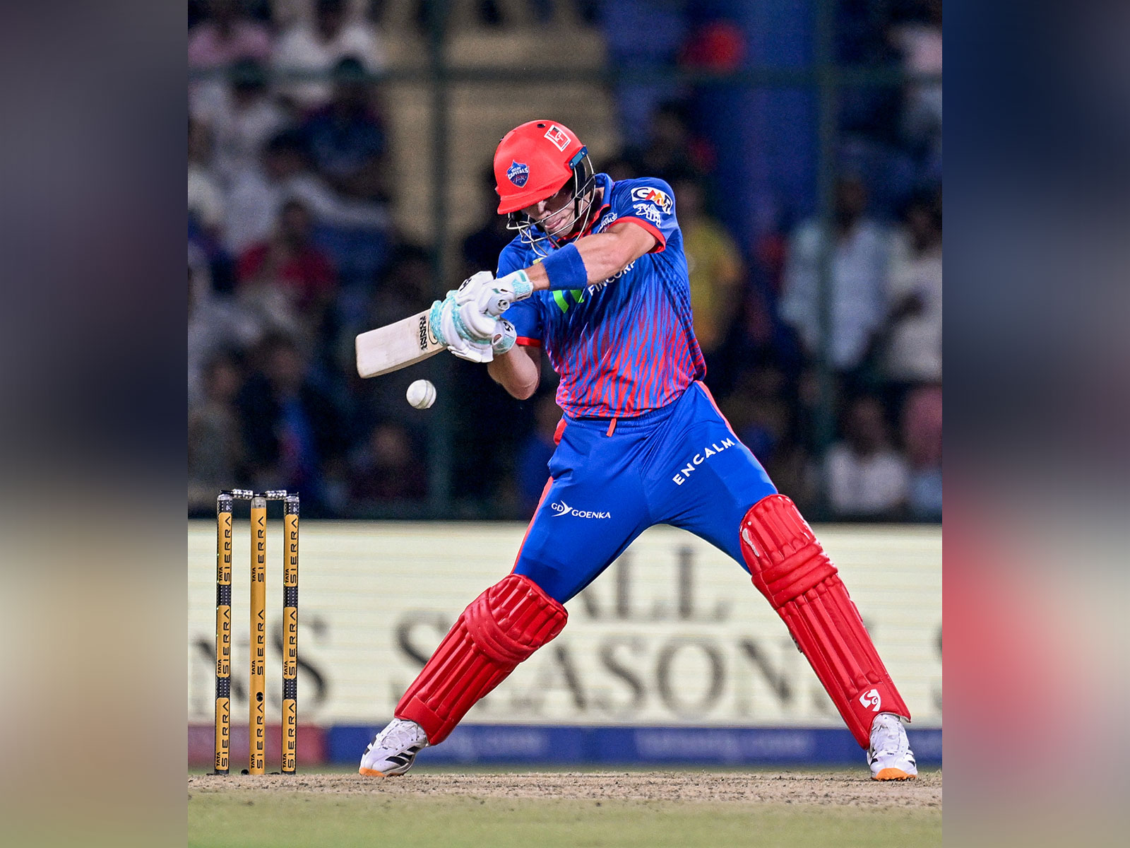 Tristan Stubbs in action. (Photo: ANI)