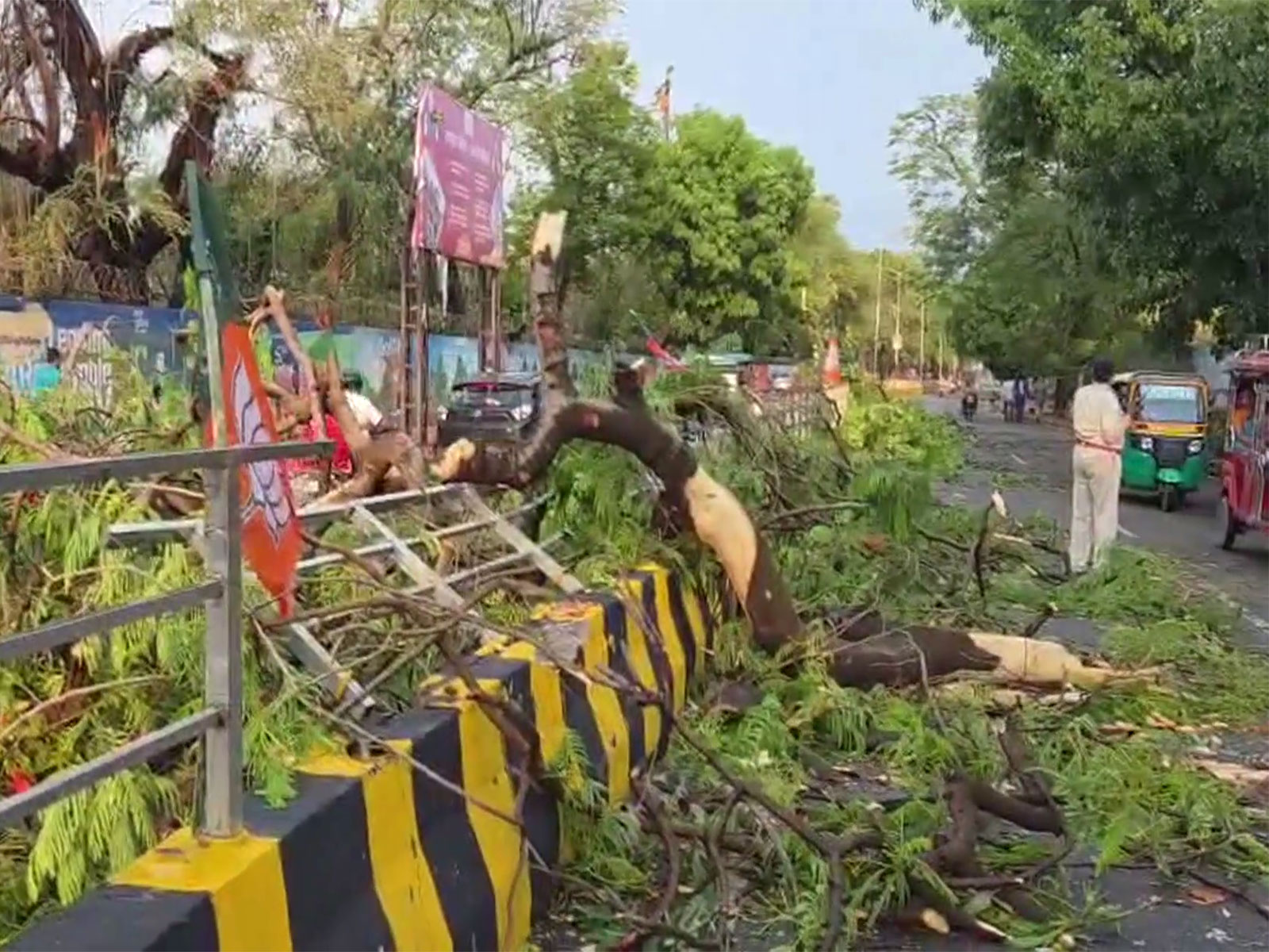 Trees uprooted as heavy rain and storm lash parts of Patna (Photo/ANI)