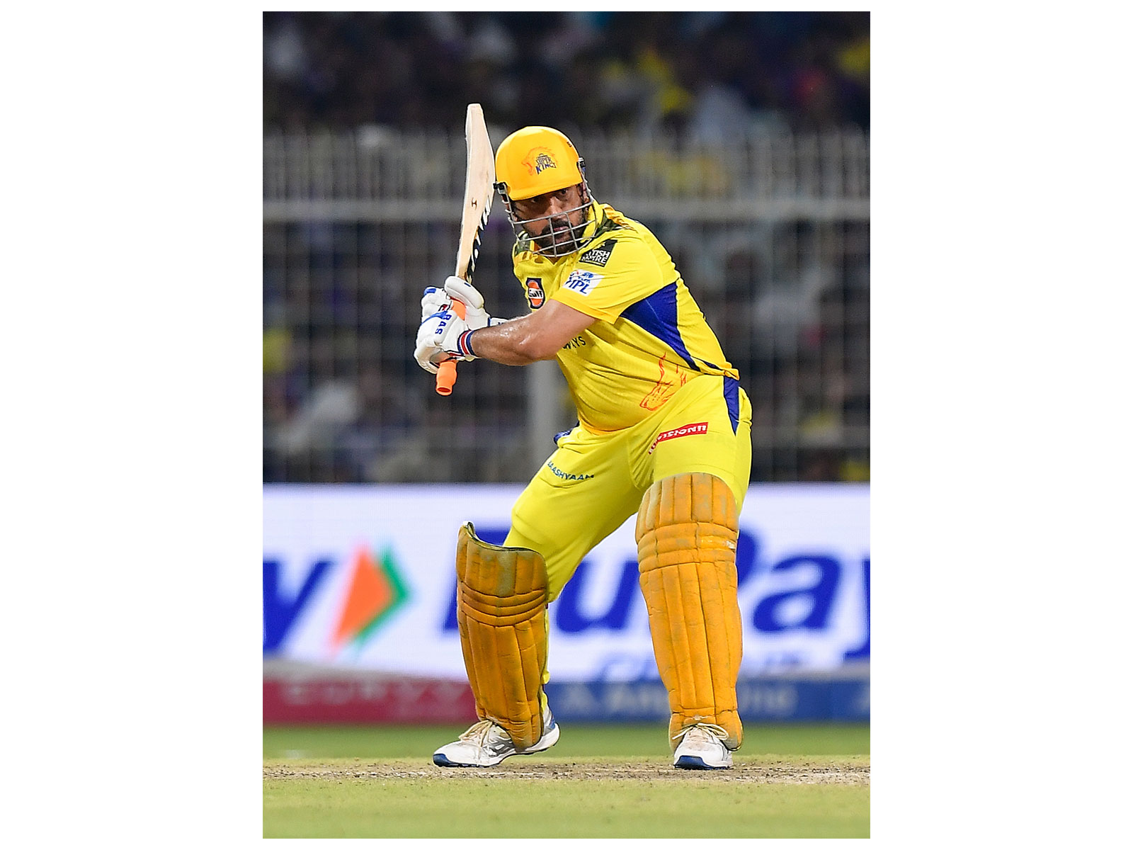 MS Dhoni (File Photo/ANI)
