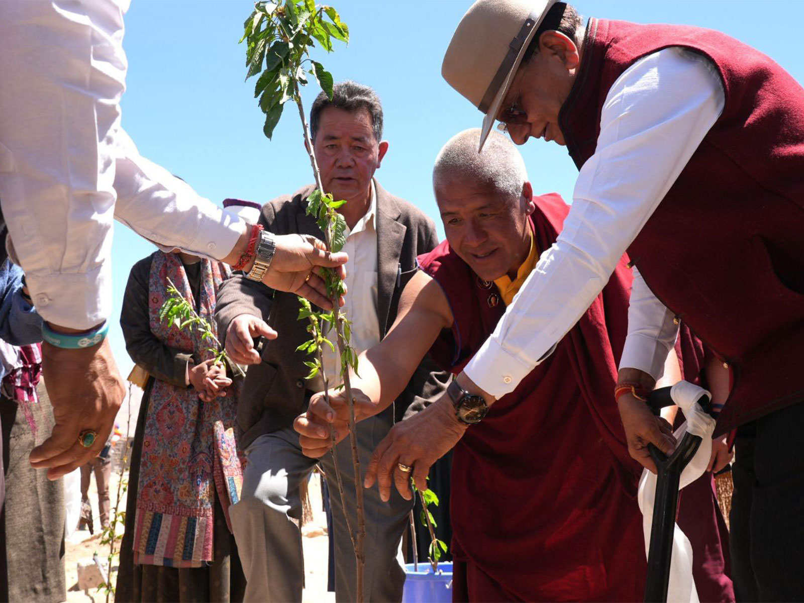 Ladakh LG Vinai Kumar Saxena launches plantation of 2100 cherry saplings at Phyang (Photo: x/@lg_ladakh)