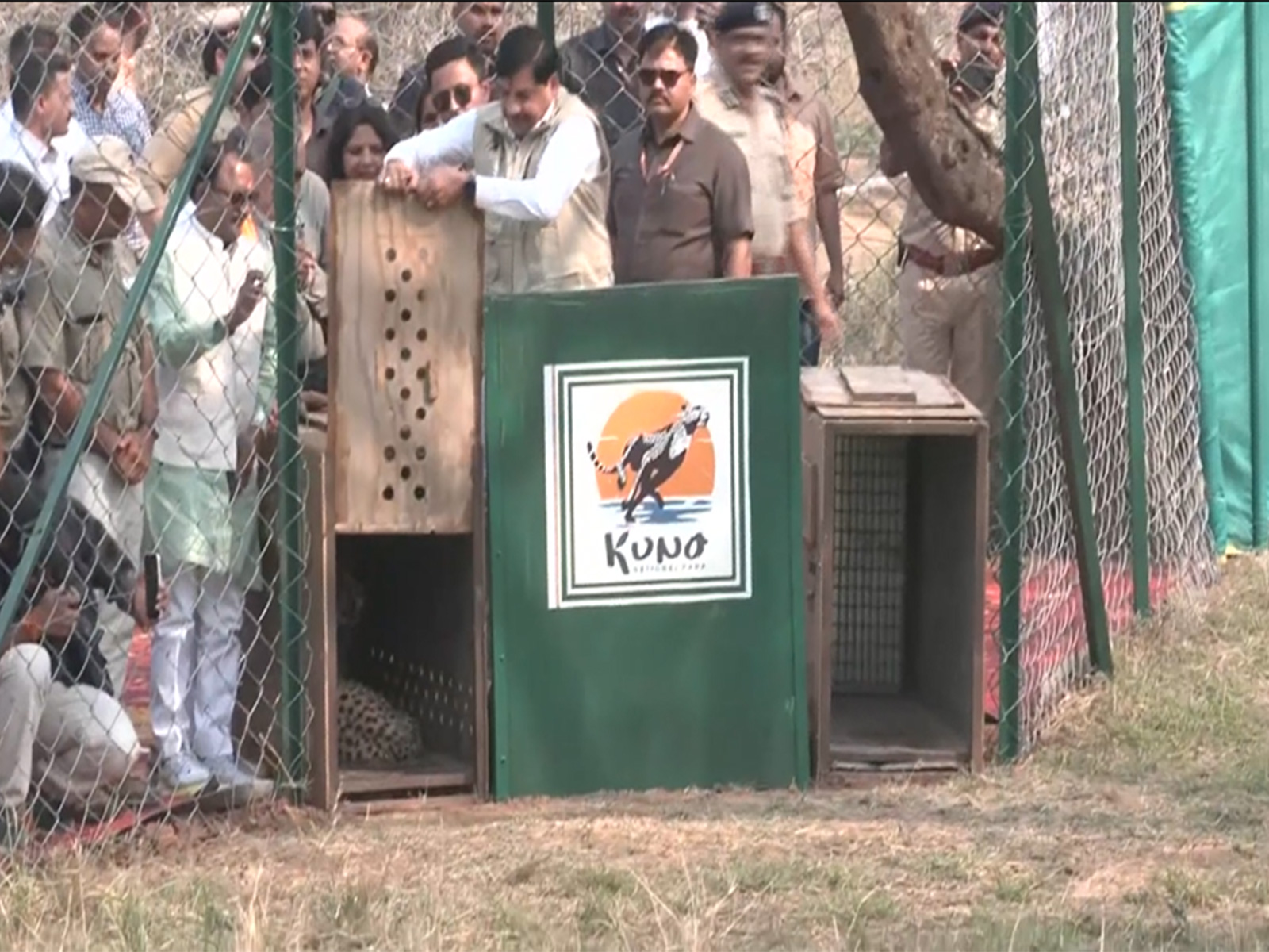 MP CM Mohan Yadav releasing Cheetah into open wild at Kuno National Park (Photo/ANI)