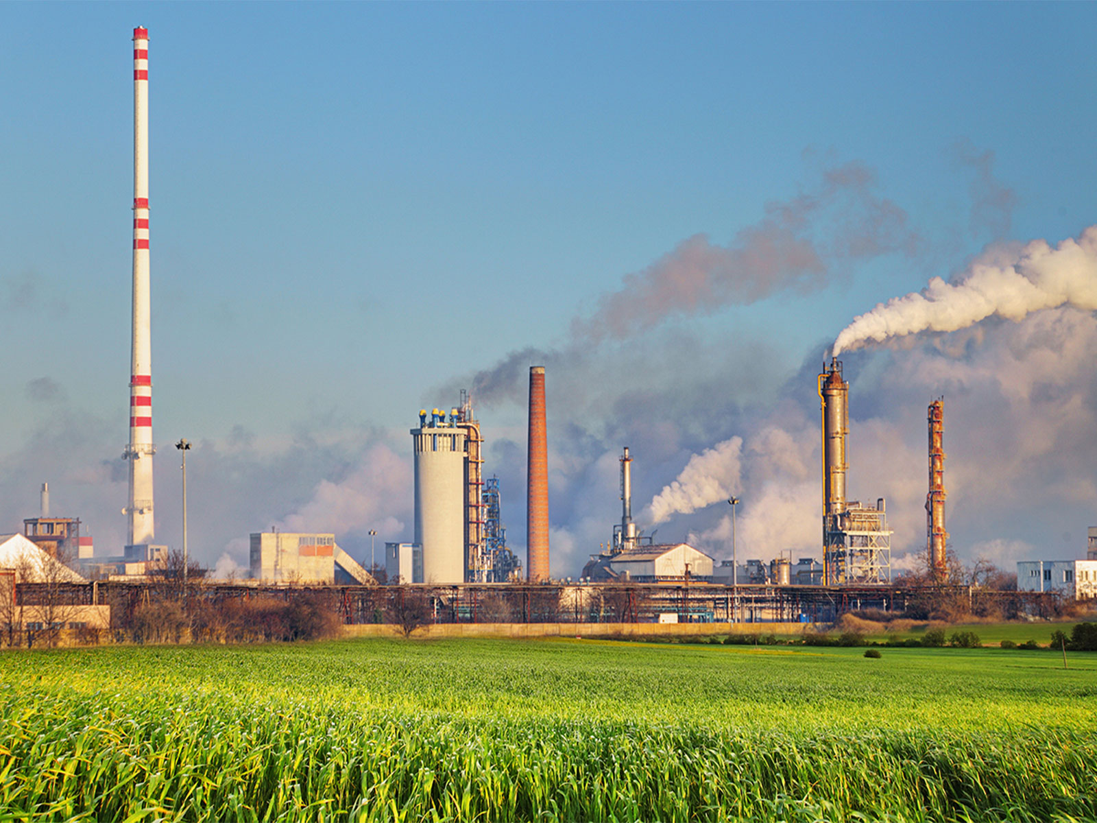 India's energy backbone at work -- balancing supply security, economic stability and uninterrupted fuel availability amid a volatile global energy landscape