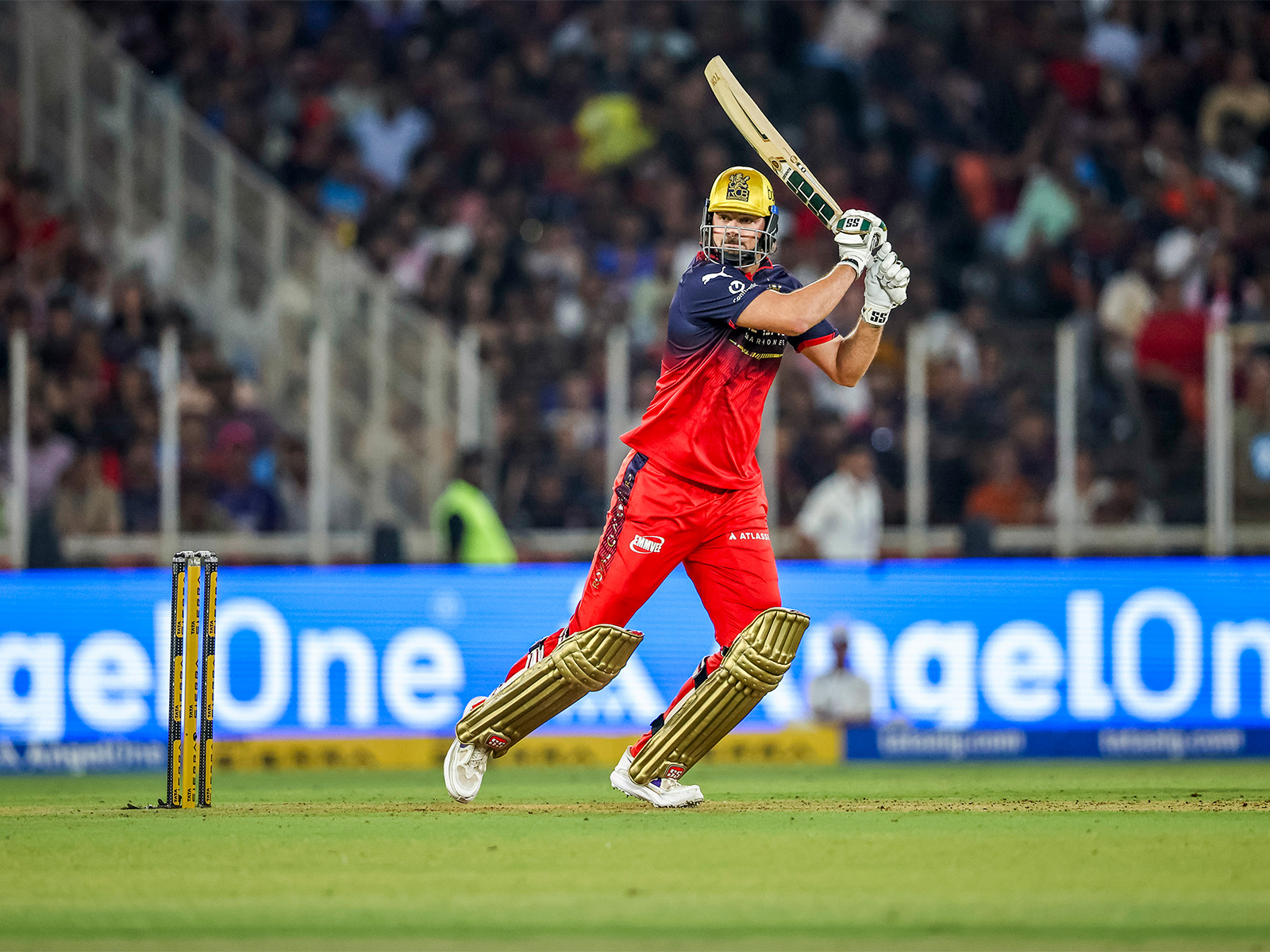RCB batter Tim David in action (Photo: ANI)