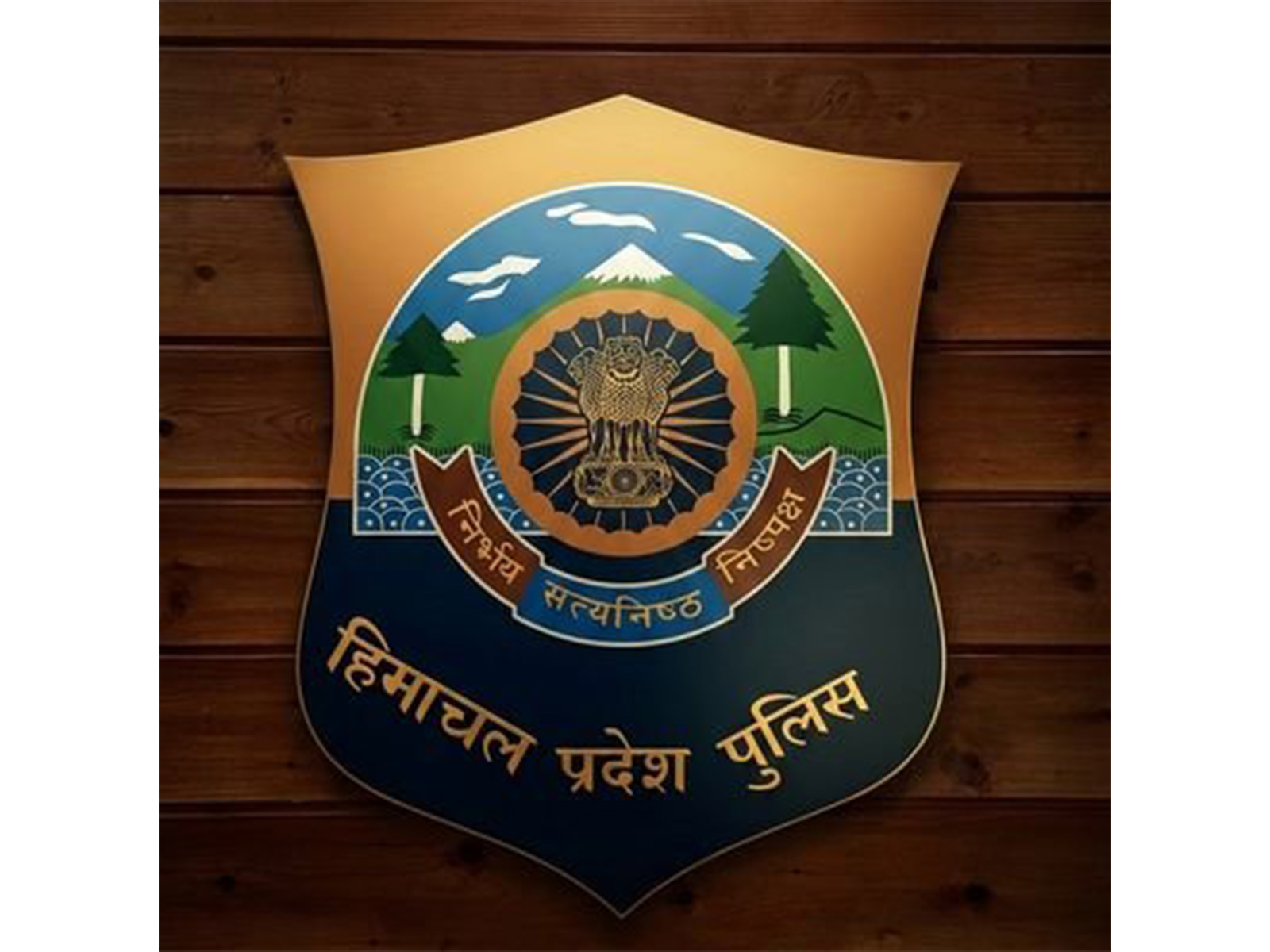 Himachal Pradesh Police (Photo/X/@himachalpolice)