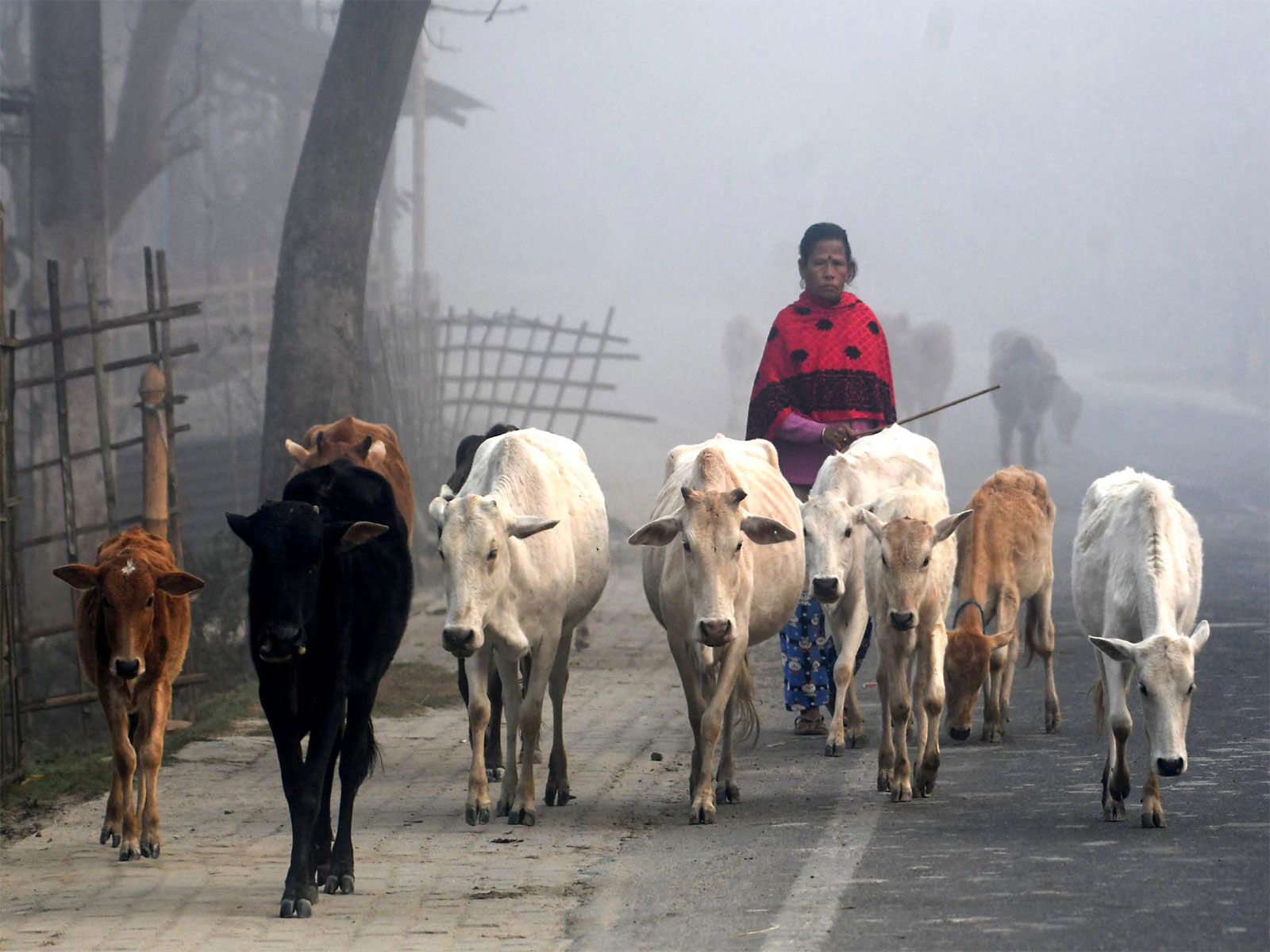 Representative Image (File photo/ANI)