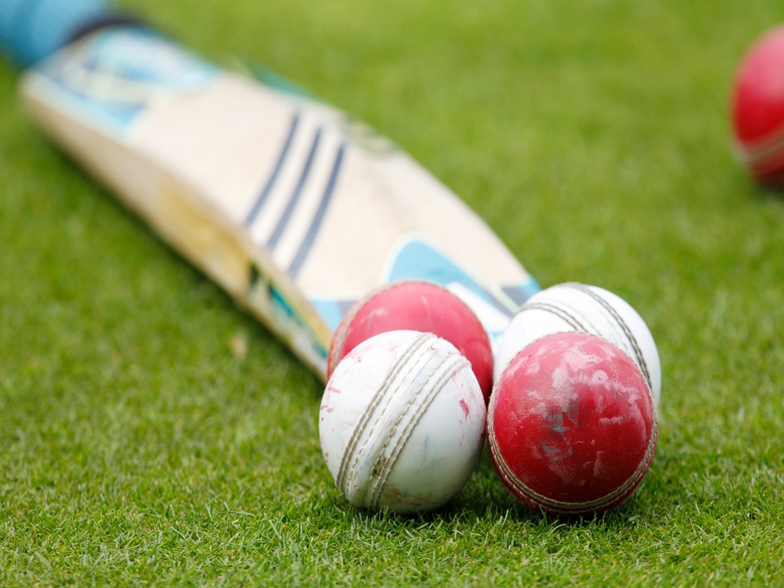 Representative image of bat and ball (Photo: Reuters)