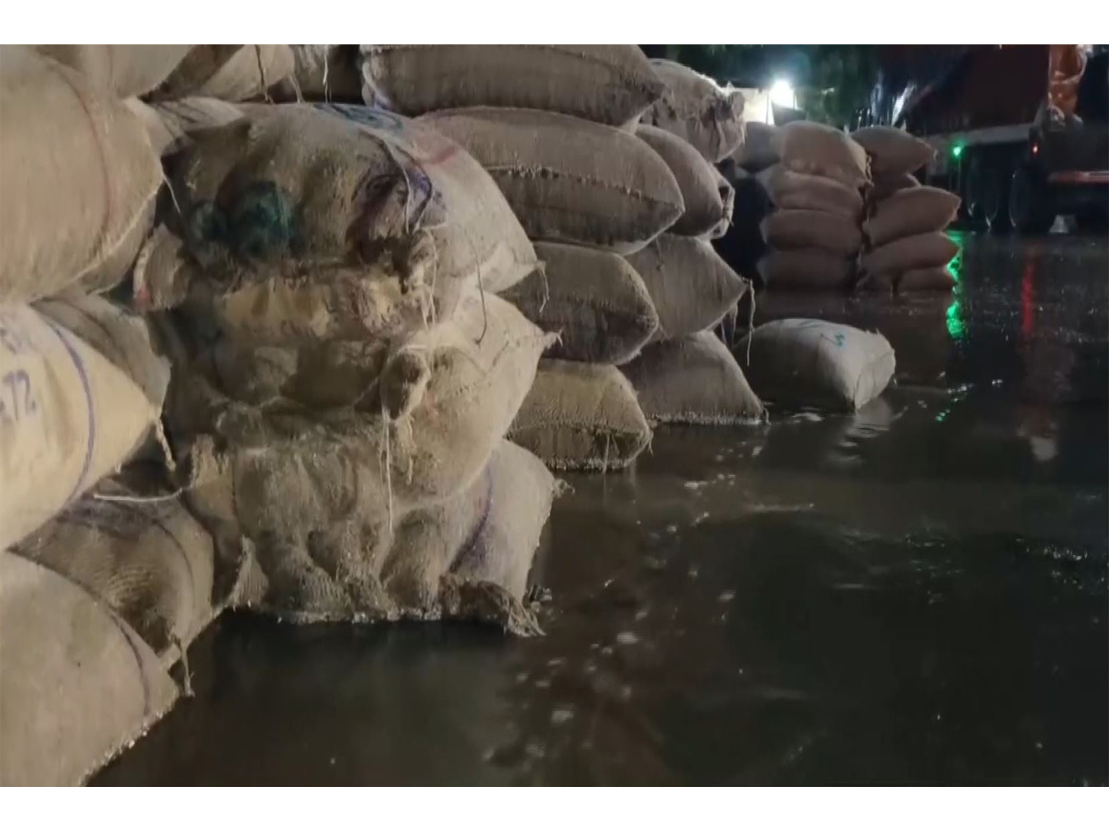 Unseasonal rain affects crops in Rajasthan's Ajmer (Photo/ANI)