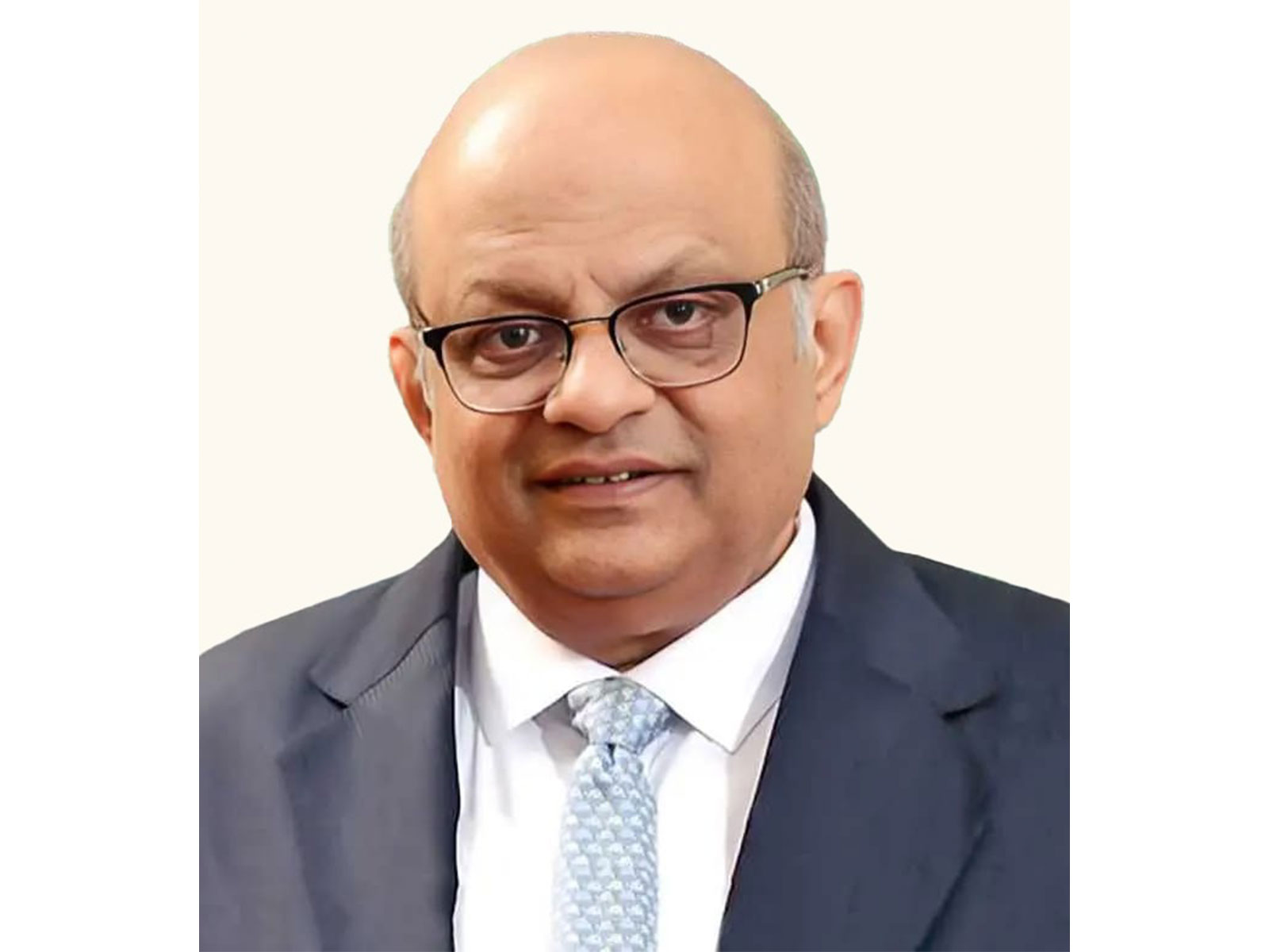 Natarajan Srinivasan, New Non-Executive Chairman and Board Member, HDB Financial Services