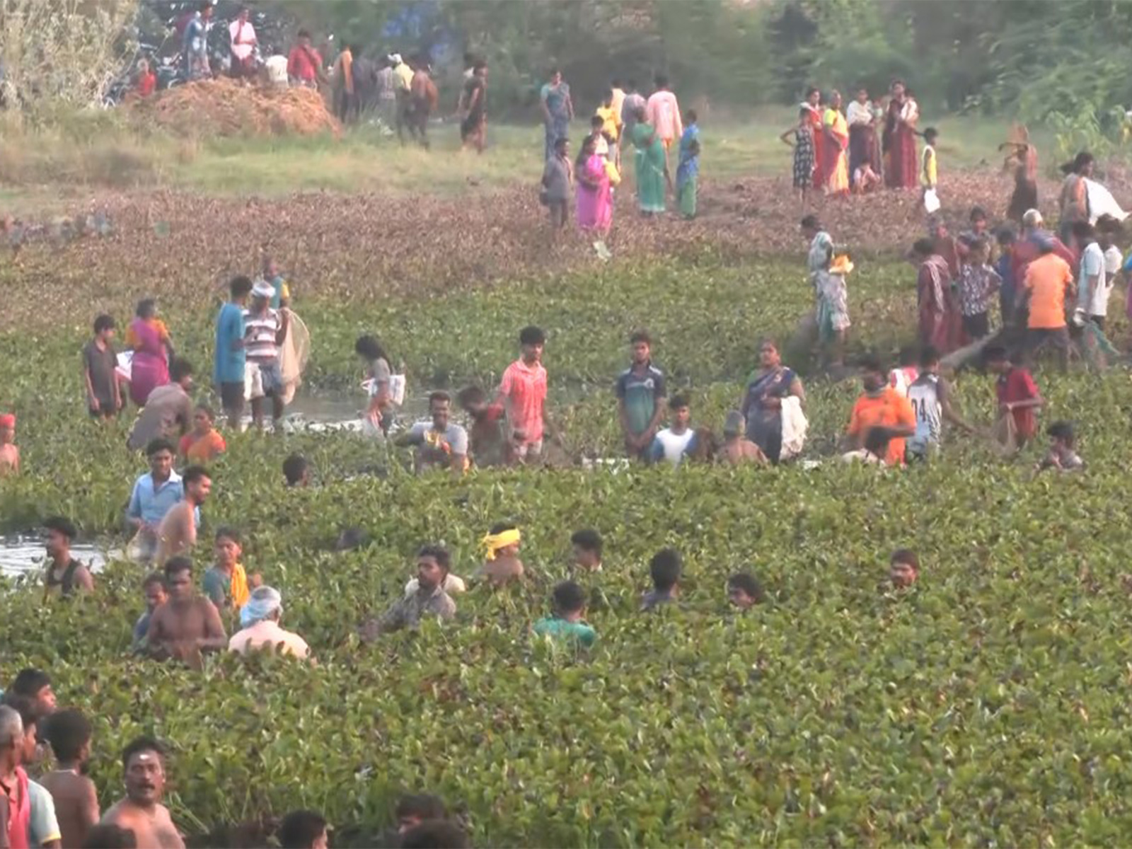 Fishing festival in Kallandhiri village in Madurai (Photo/ANI)