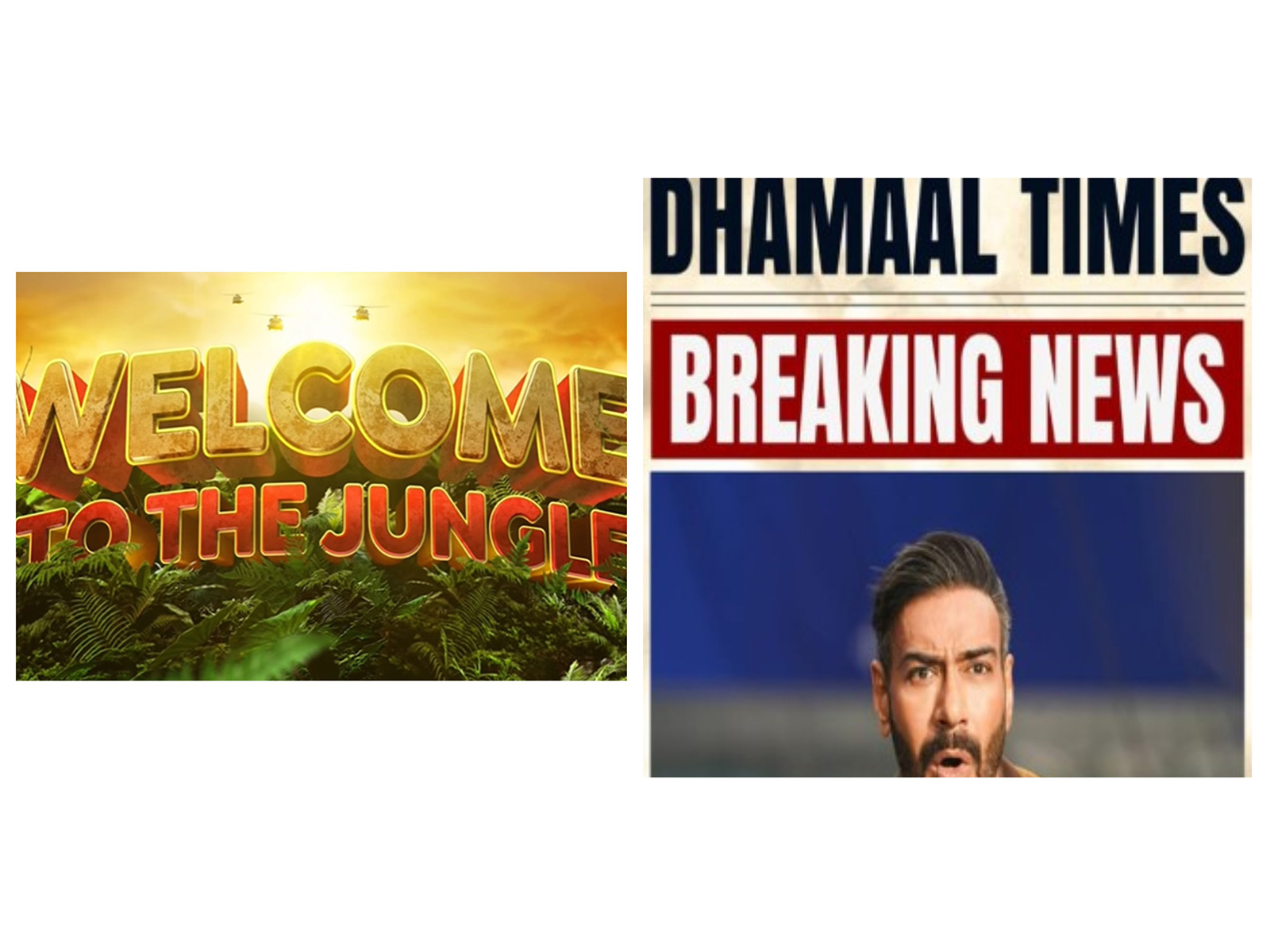 Posters of Welcome To The Jungle and Dhamaal 4 (Image source: Makers)