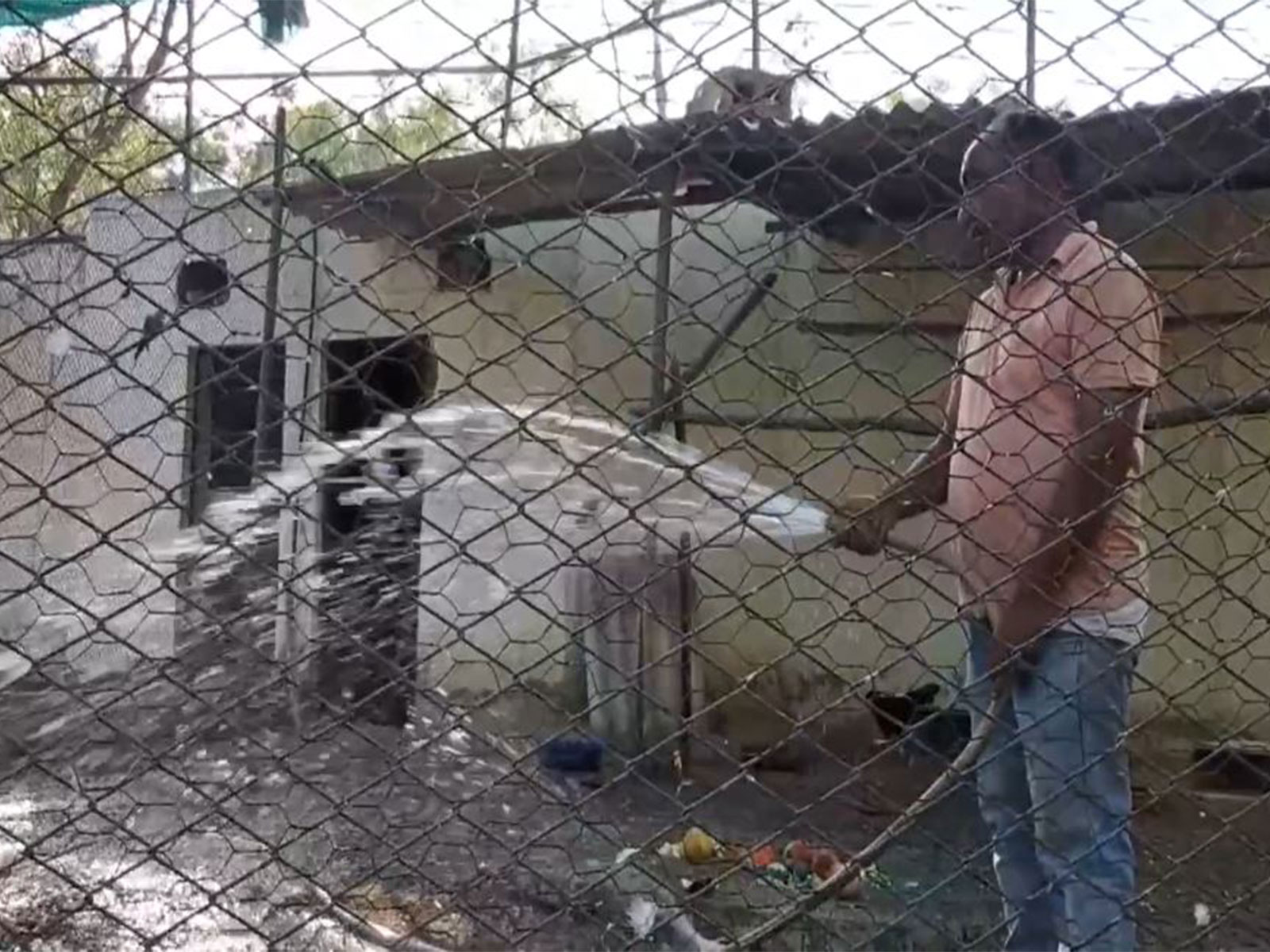 Water sprayed in cages at Bathinda Zoo amid rising heat (Photo: ANI)