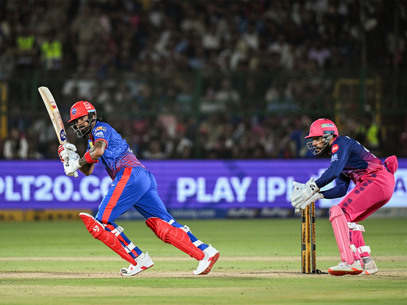 DC and RR in action. (Photo: ANI)