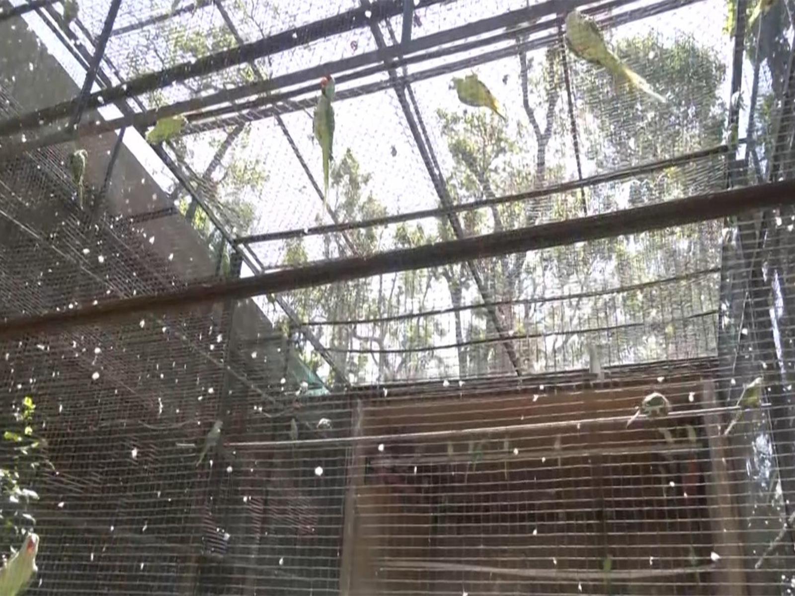 Visual of the Dehradun Zoo (Photo/ANI) 