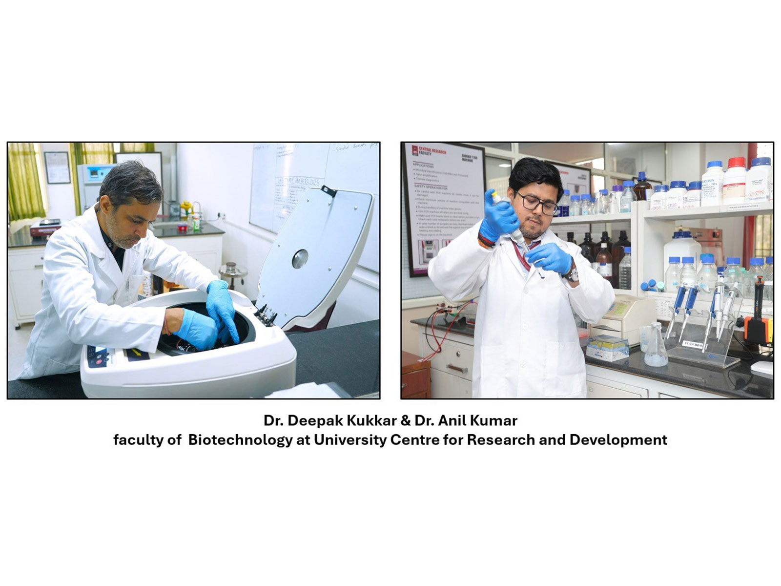 Dr. Deepak Dr. Anil Kumar, faculty of Chandigarh University at Research & Development Centre of Chandigarh University