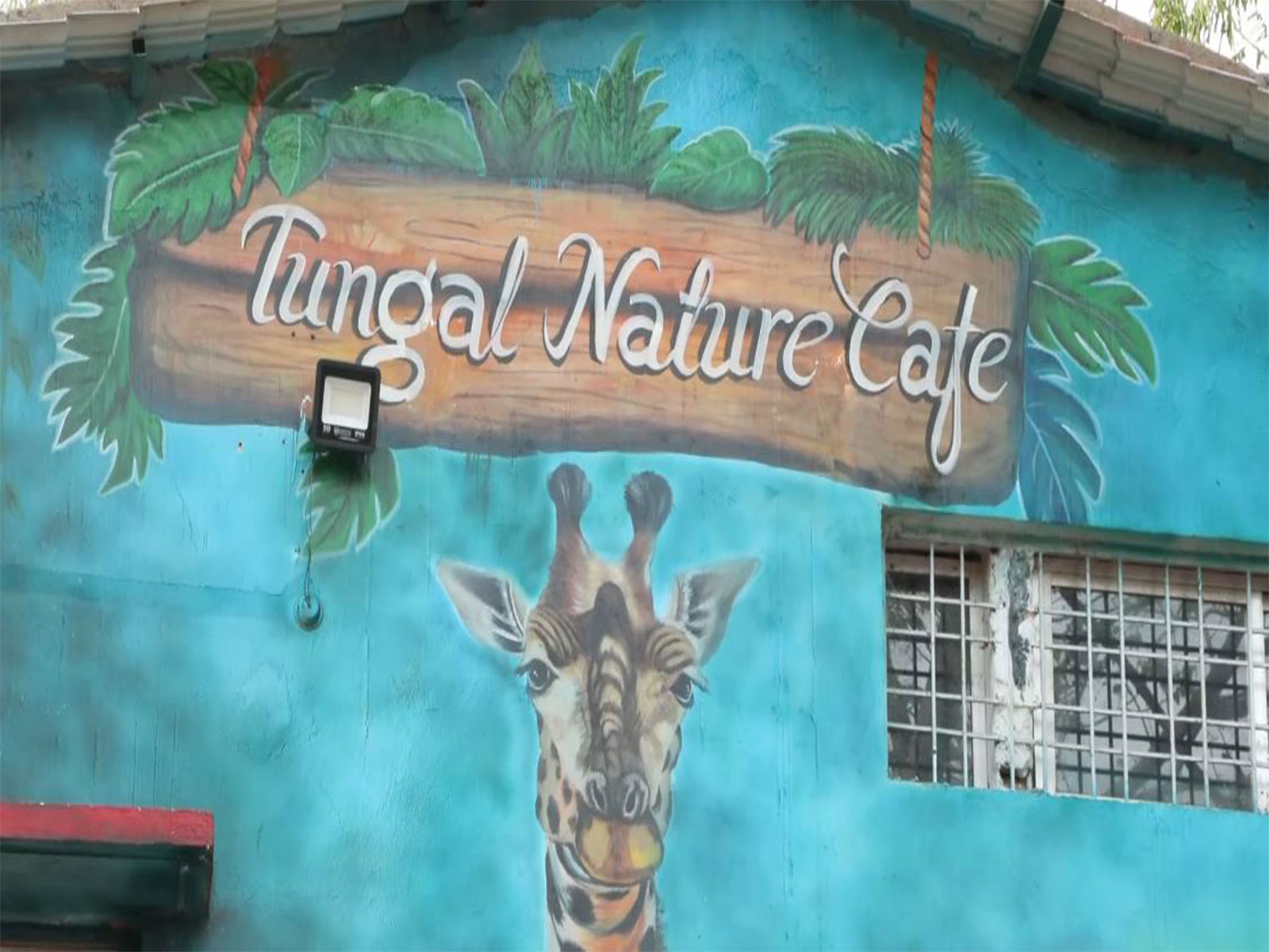 Former women Naxals find new beginning at Sukma's Tungal Natures Cafe (Photo/ANI)