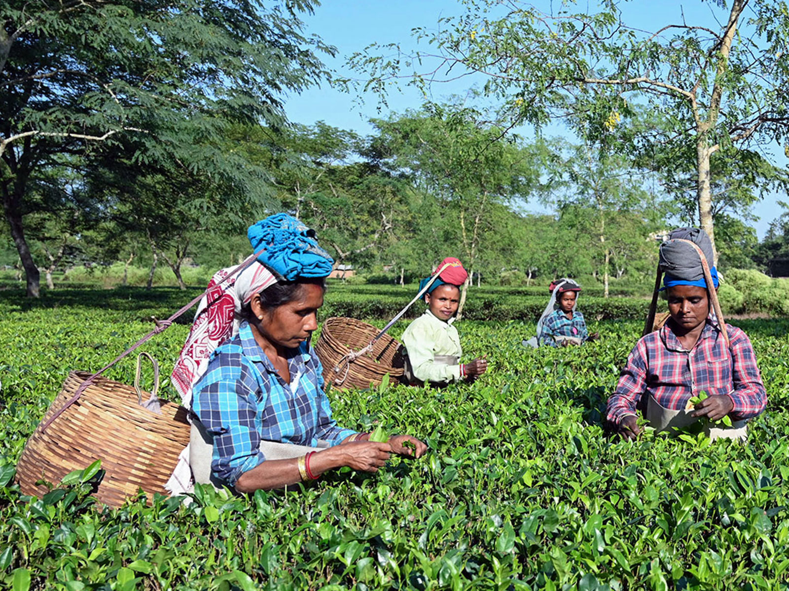 Representative Image (File Photo/ANI)