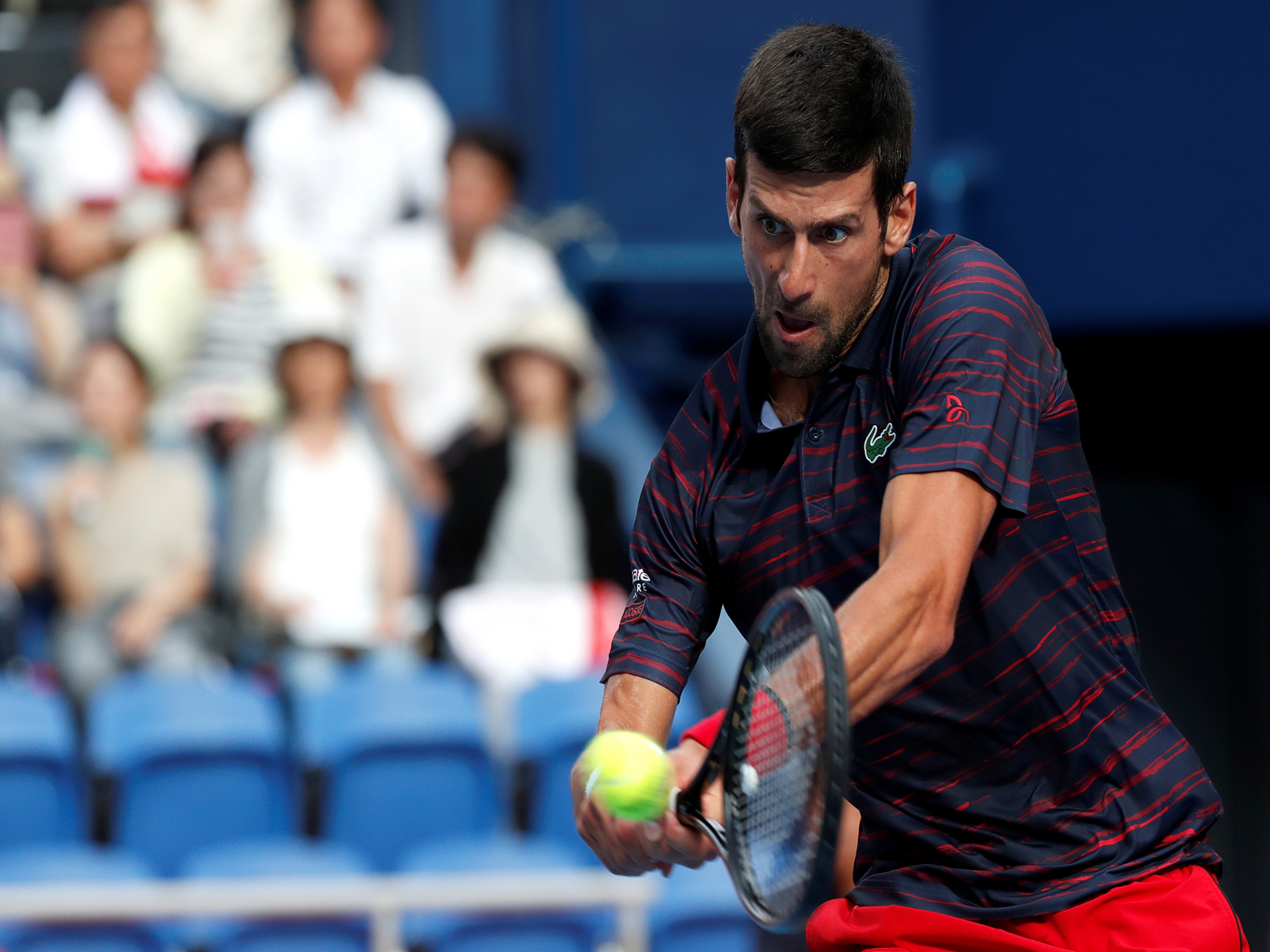 Novak Djokovic. (Photo: ANI)