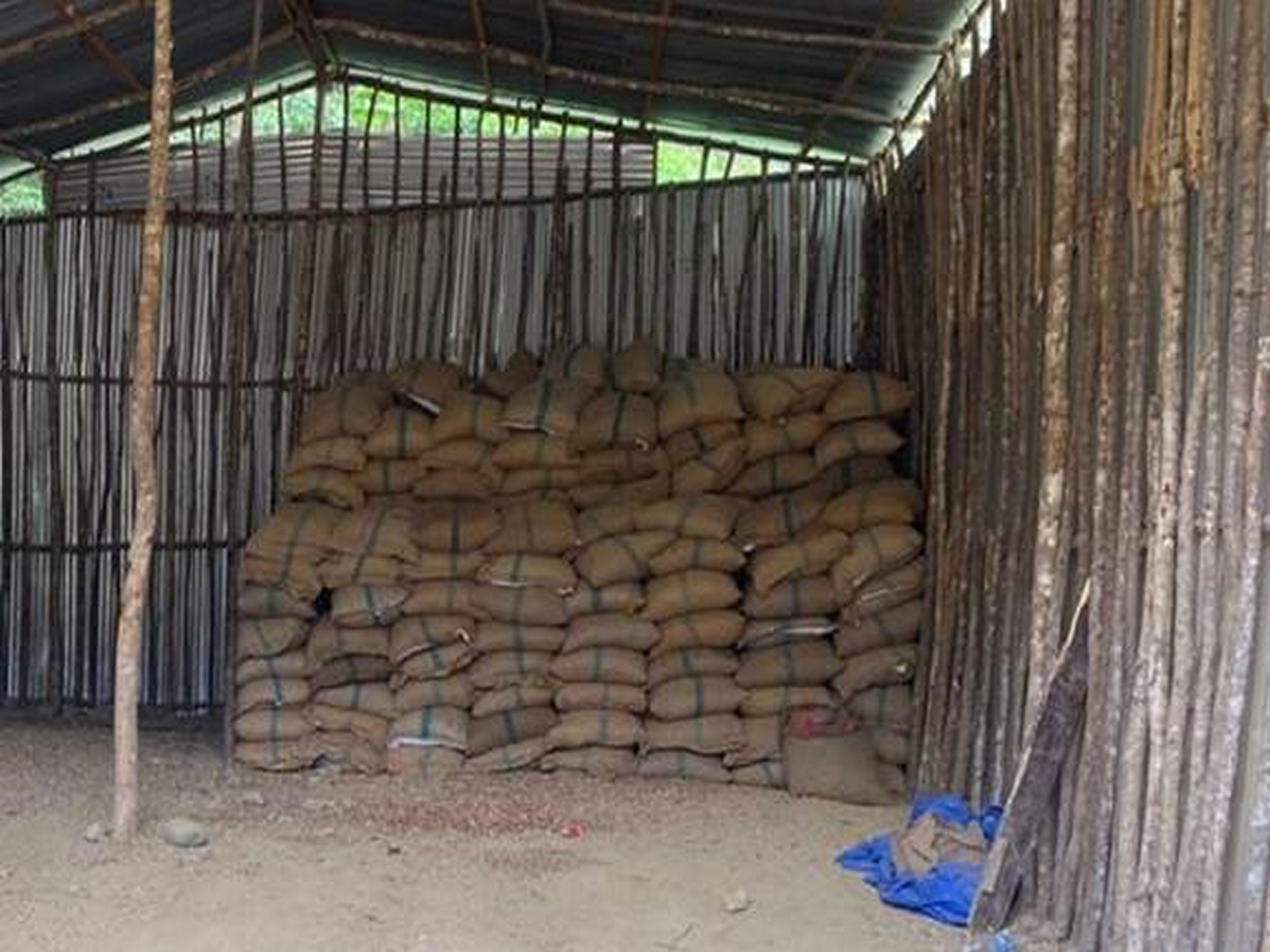 DRI seizes 60,000 kg smuggled areca nuts (Photo/PIB)