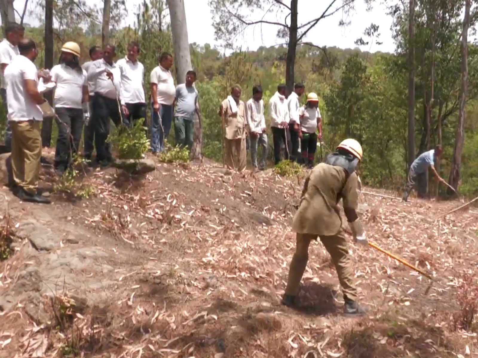 Visual of specialised department teams actively conducting village outreach programs (Photo/ANI)