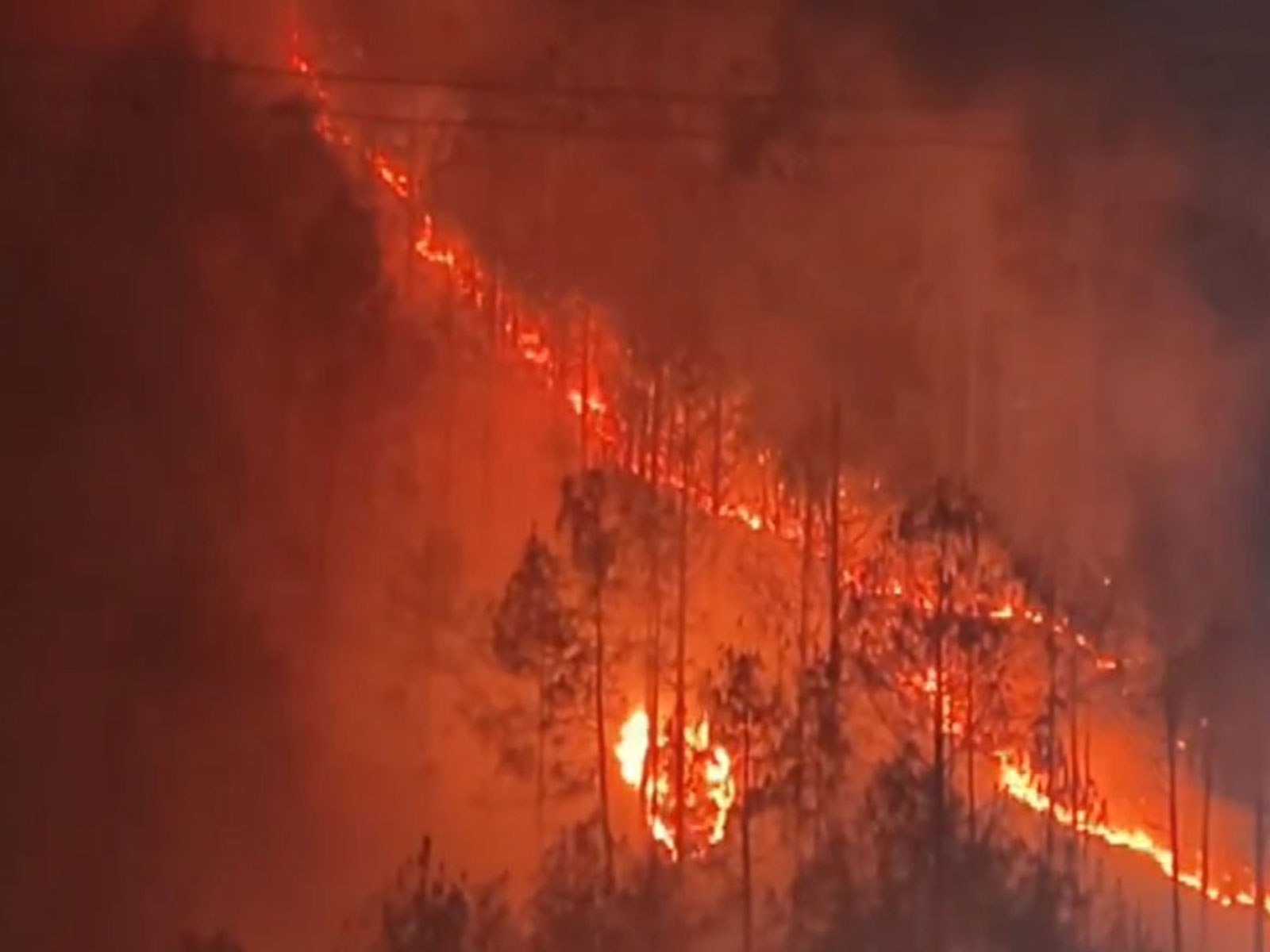 Massive forest fire breaks out in Tehri Garhwal (Photo/ANI)