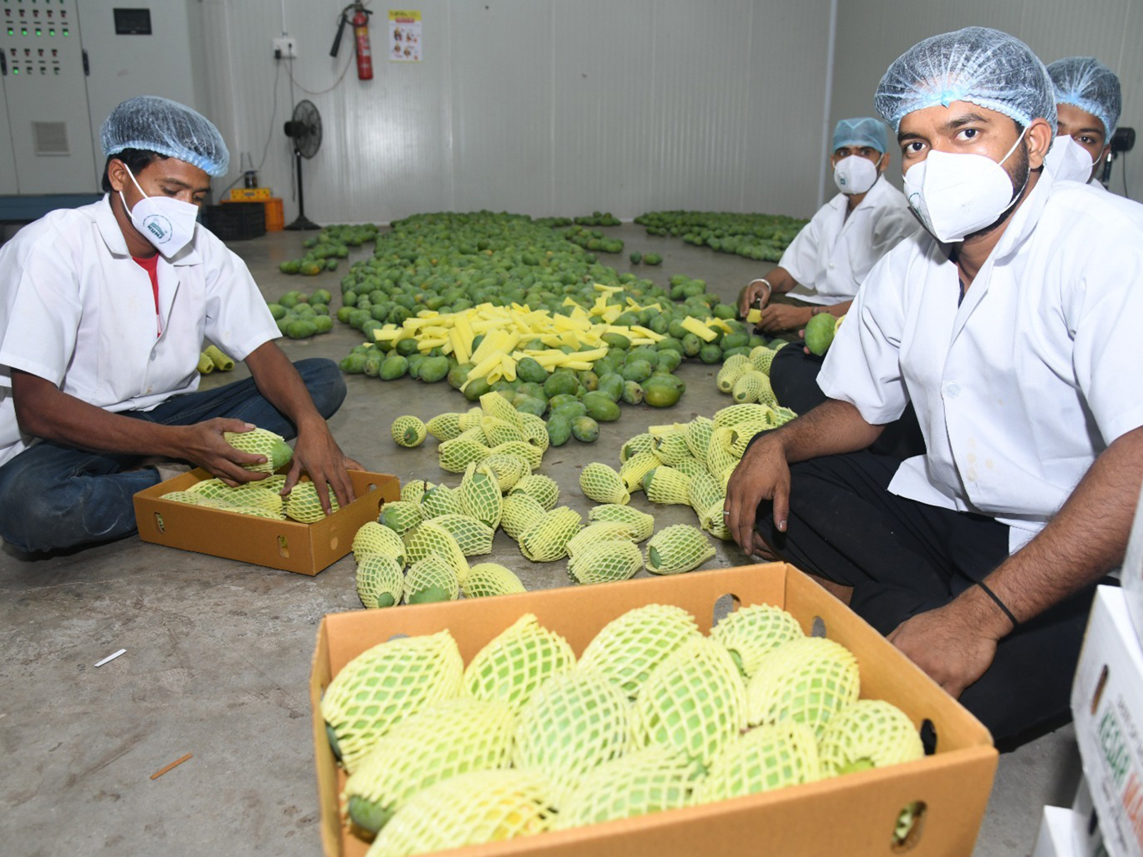 London Heathrow airport filled with the aroma of Gujarat's Kesar mangoes (Photo/Gujarat CMO)
