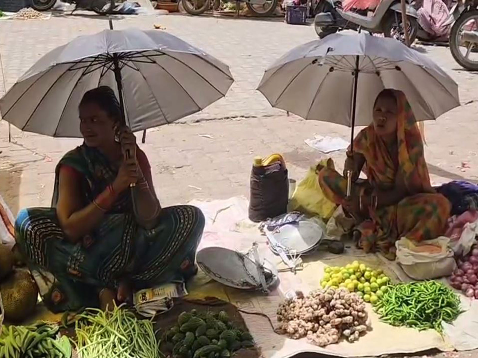 Visual from Chhatarpur, Madhya Pradesh (Photo/ANI)