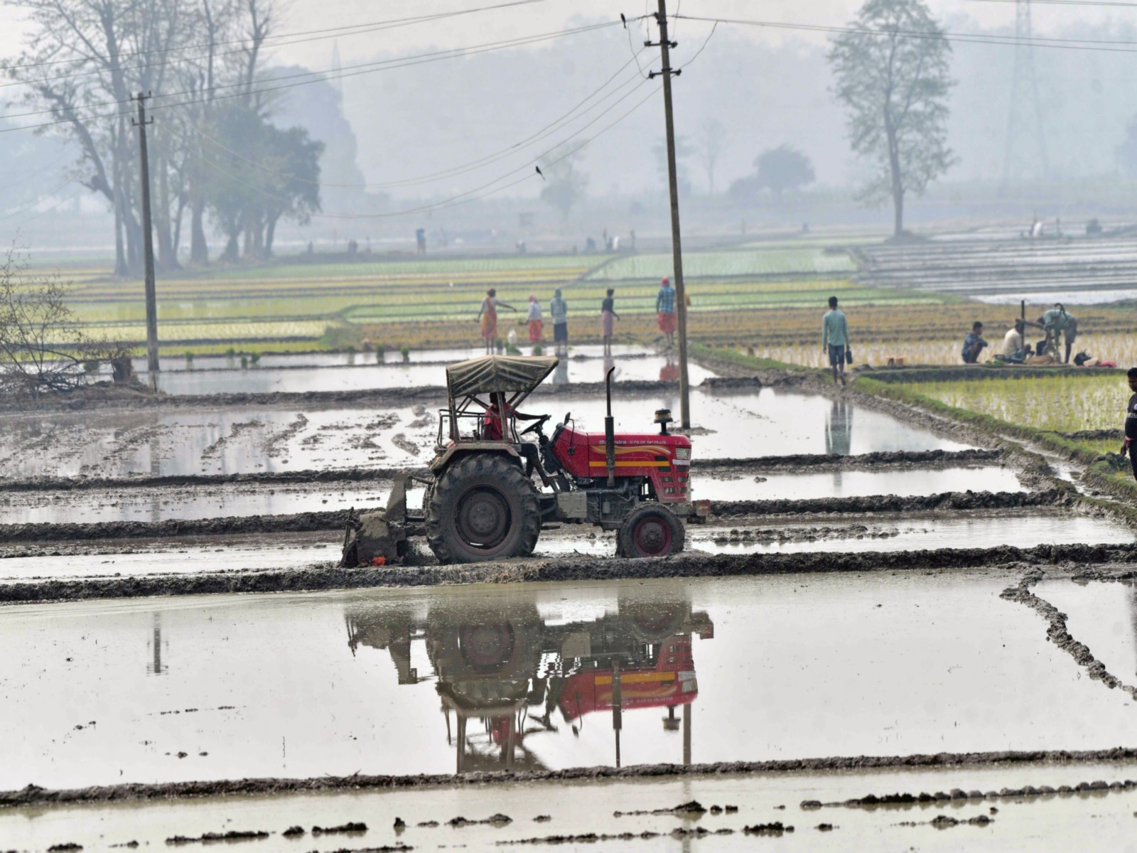 Representative Image (Photo/ANI)