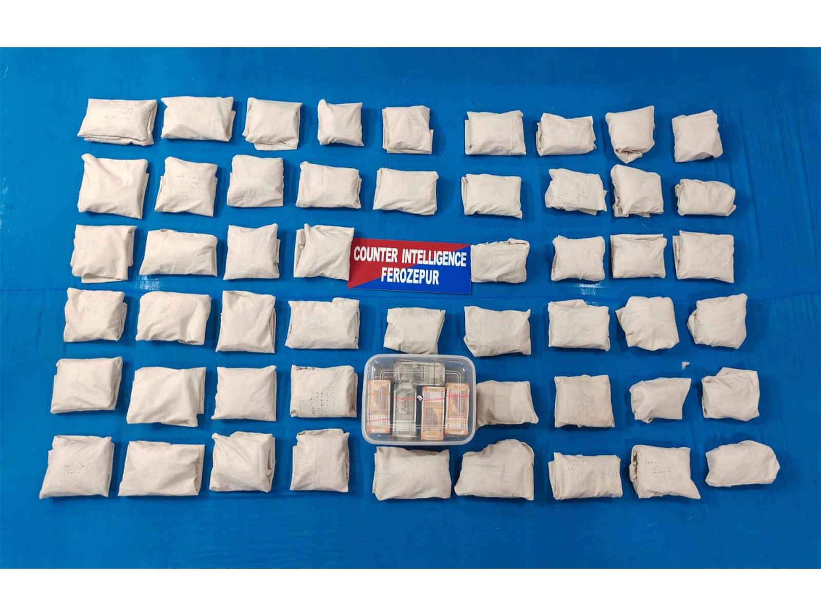 Punjab police seizes 28.12 kg Heroin in cross-border drug module in Ferozepur (Photo/X/@DGPPunjabPolice)