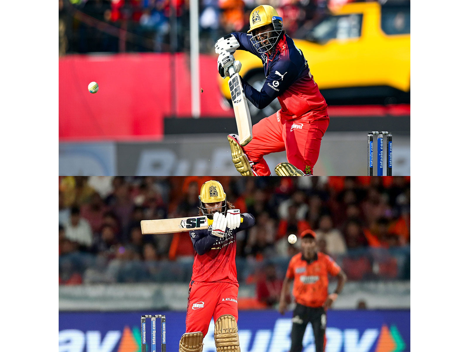 Rajat Patidar and Venkatesh Iyer (Photo/ANI)
