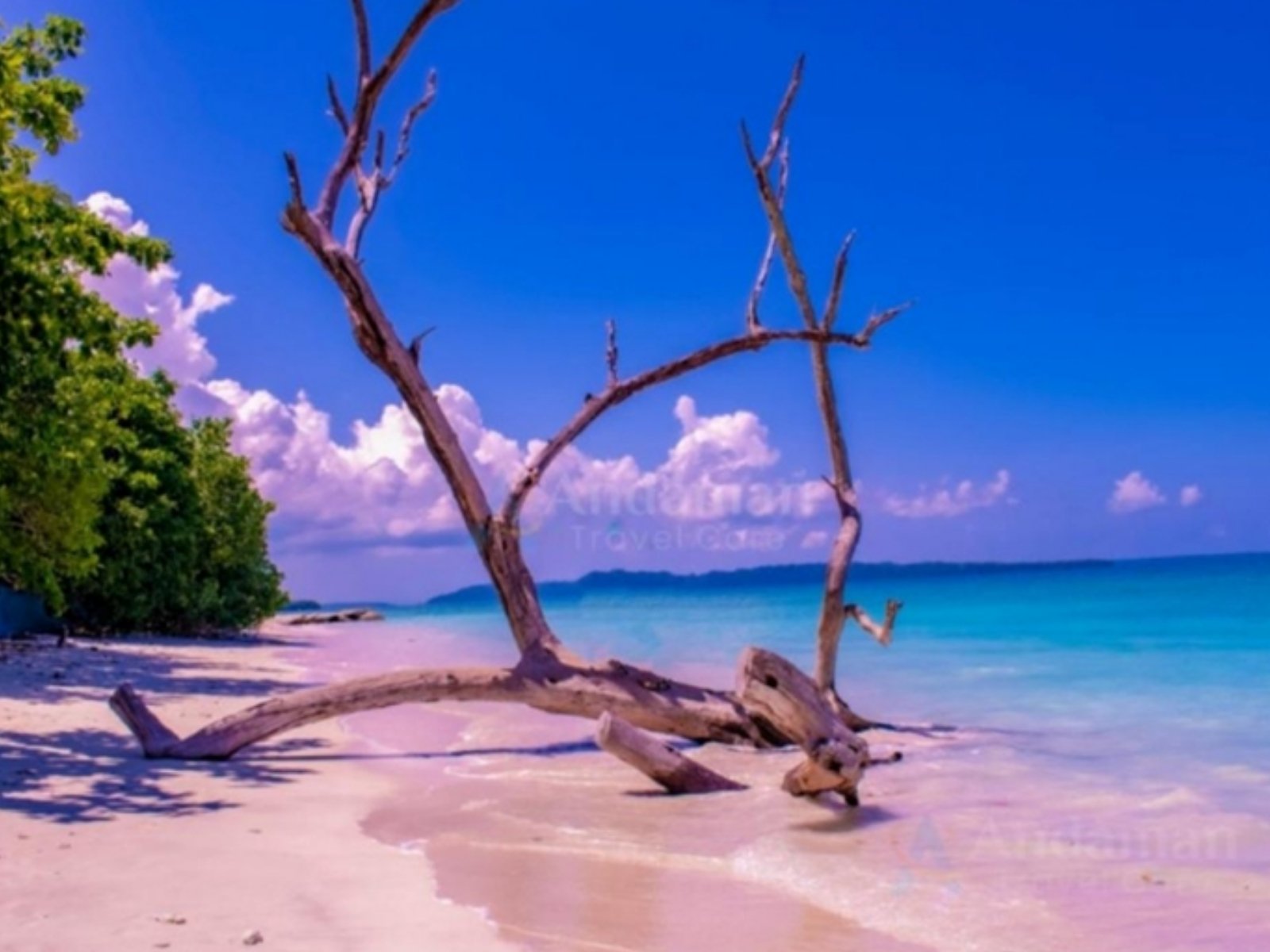 Premium Andaman Tour Packages & Honeymoon Experiences in Andaman & Nicobar Islands