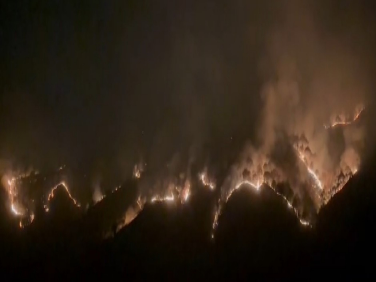 Visual from forest fire in Solan in Himachal Pradesh (Photo/ANI)