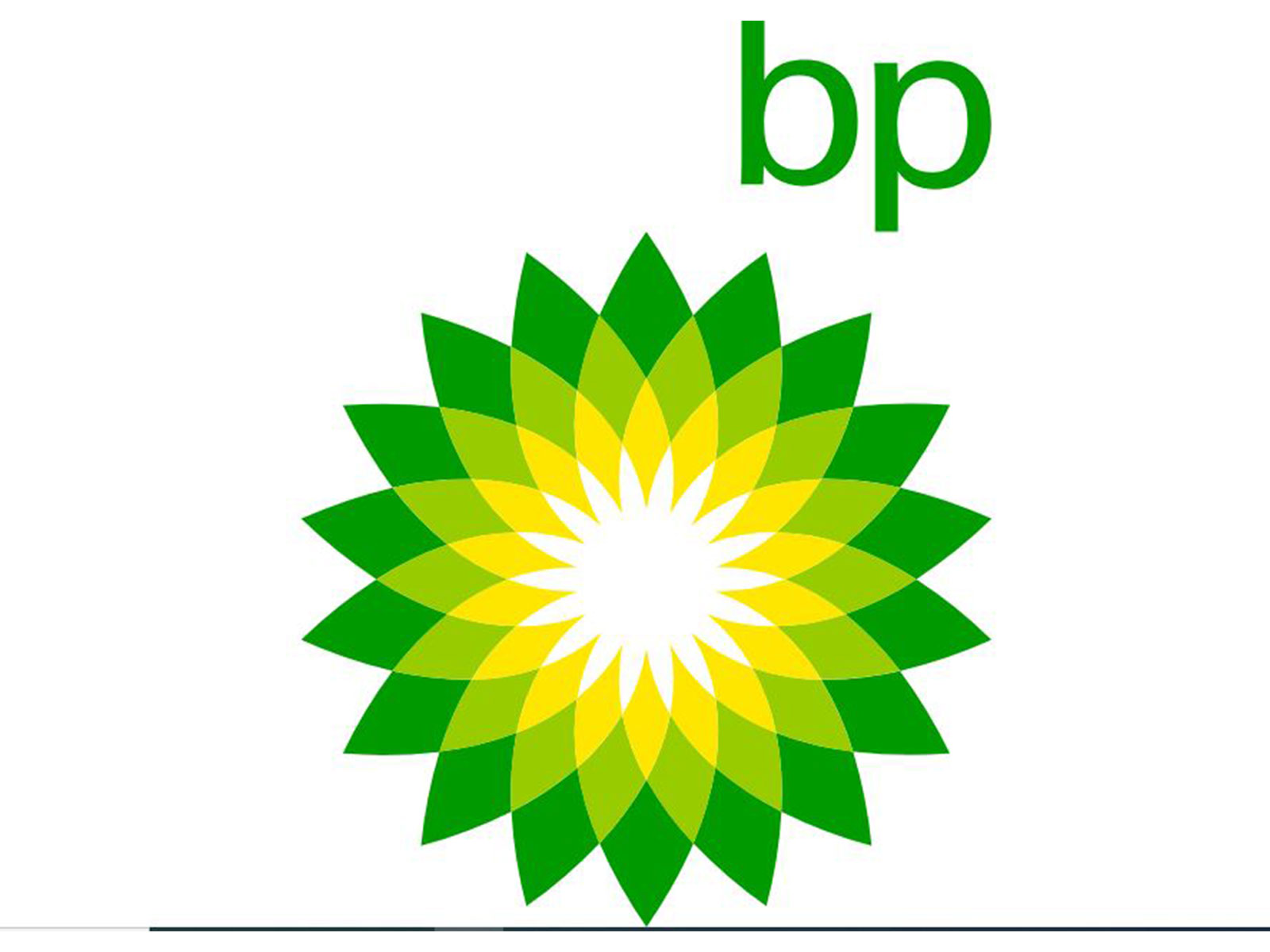 British energy giant BP [Photo/company website]