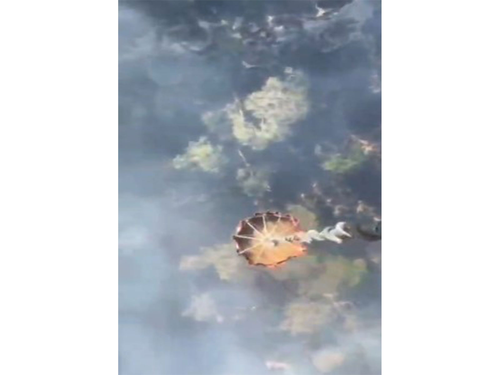 Indian Air Force helicopters dousing fire in Himachal Pradesh's Kasauli using Bambi buckets. (Photo/ Indian Air Force)