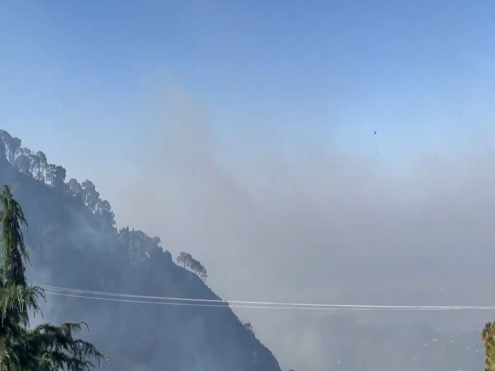  Kasauli forest blaze brought under control  (Photo/ANI)