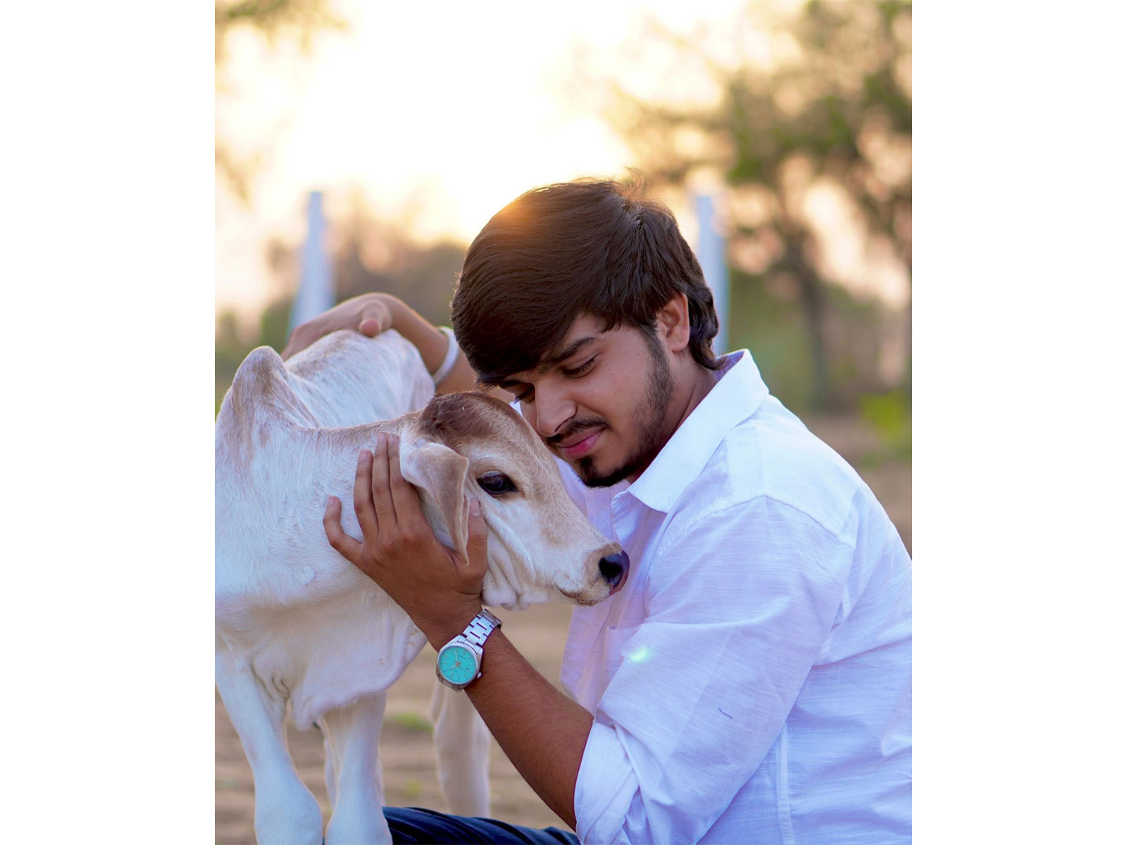 Ronak Choudhary Leads Cow Rescue Mission Through "Jeevdaya Foundation"