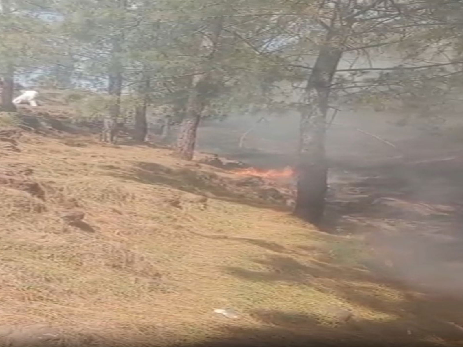 Visuals of the spot (Photo/ANI) 