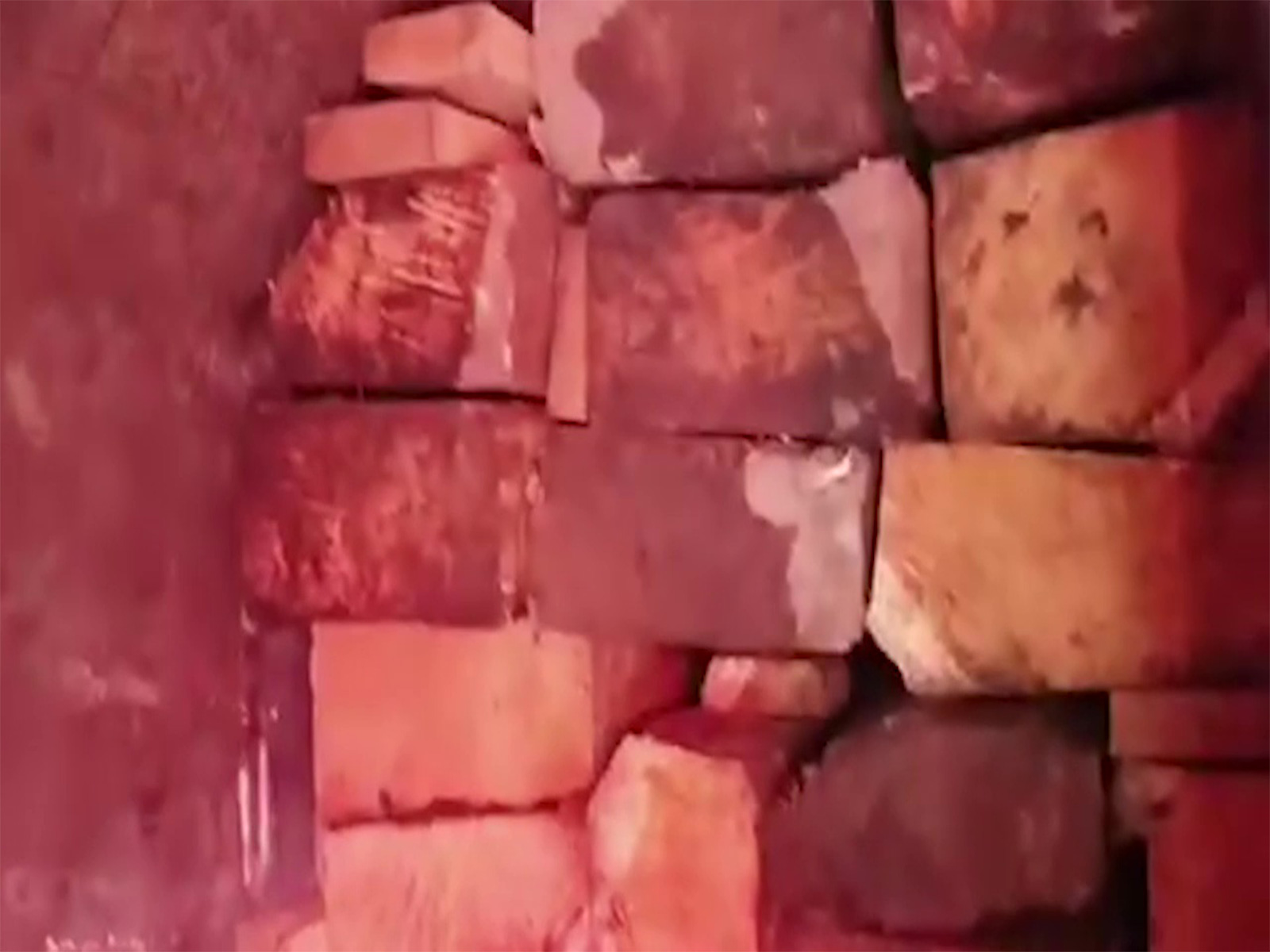 Local reporter exposing timber smuggling ( Screengrabs from TNN Video)