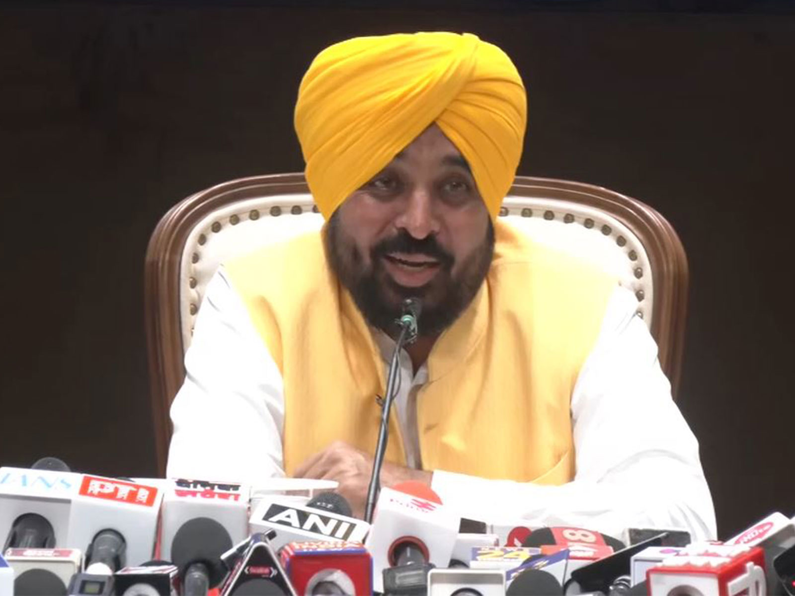 Punjab CM Bhagwant Mann (Photo/ANI)