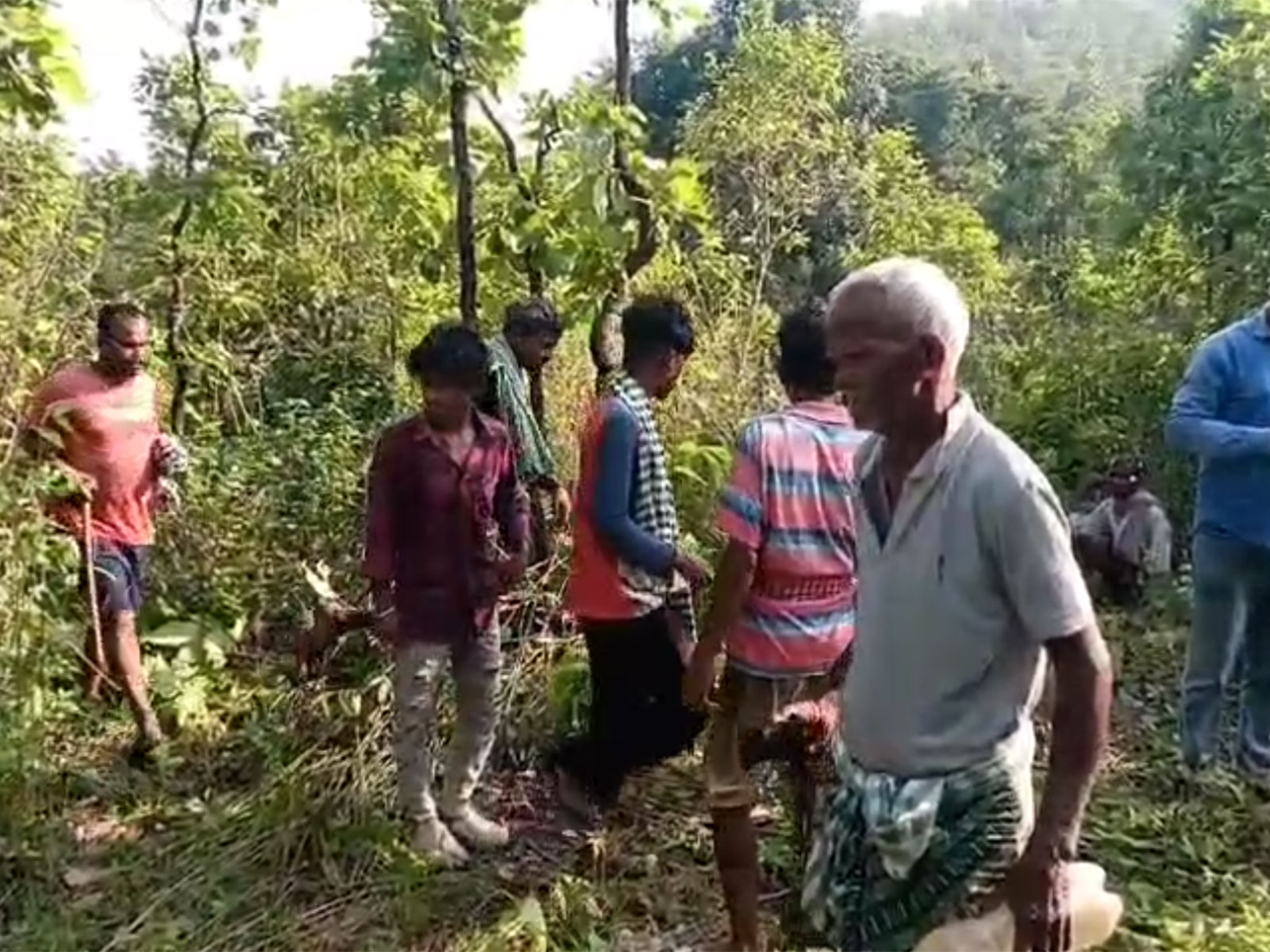 Visual from Mayurbhanj Forest in Odisha (Photo/Forest Department)