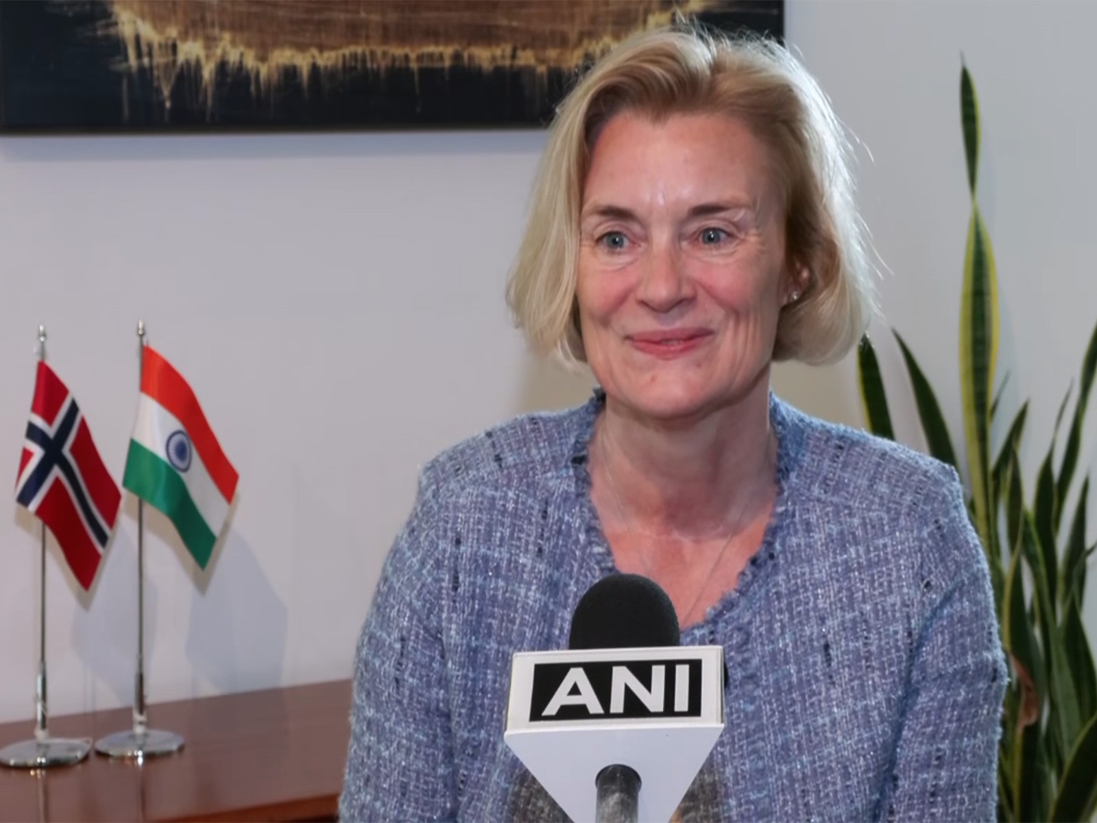 Norwegian Ambassador to India May-Elin Stener (Photo/ANI)