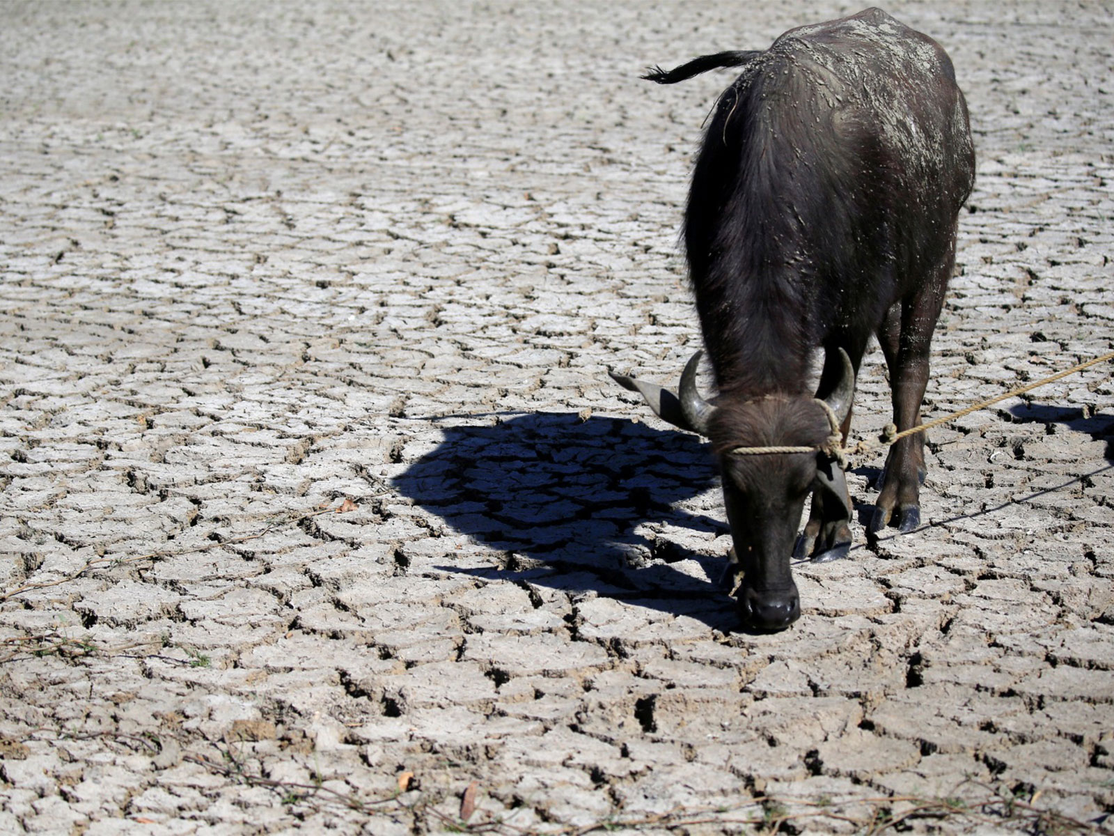 Representative Image (Photo/Reuters)